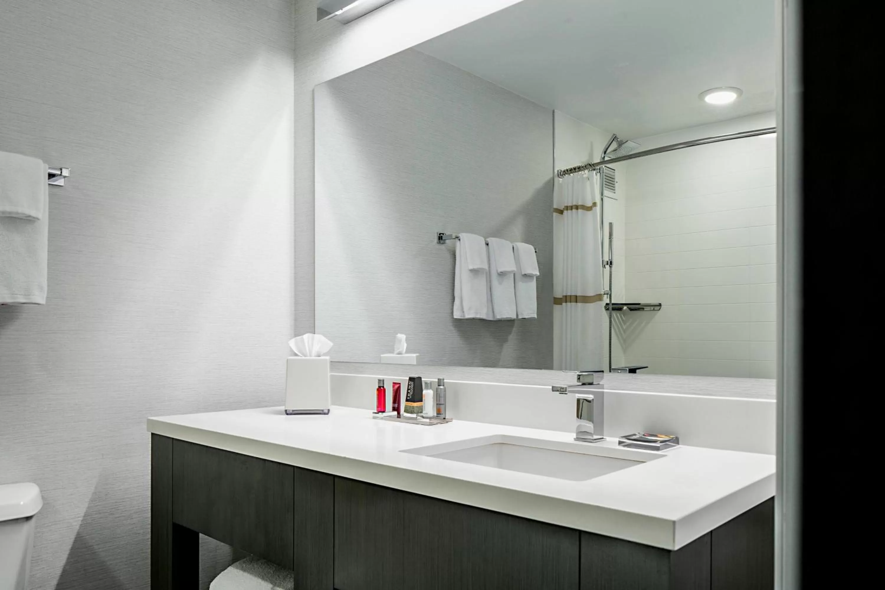 Bathroom in Marriott DFW Airport South