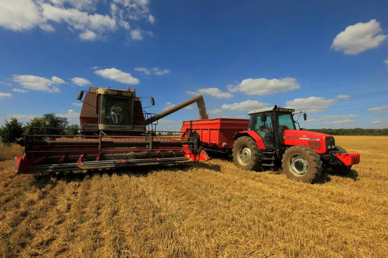 Property Building in Highfield Farm