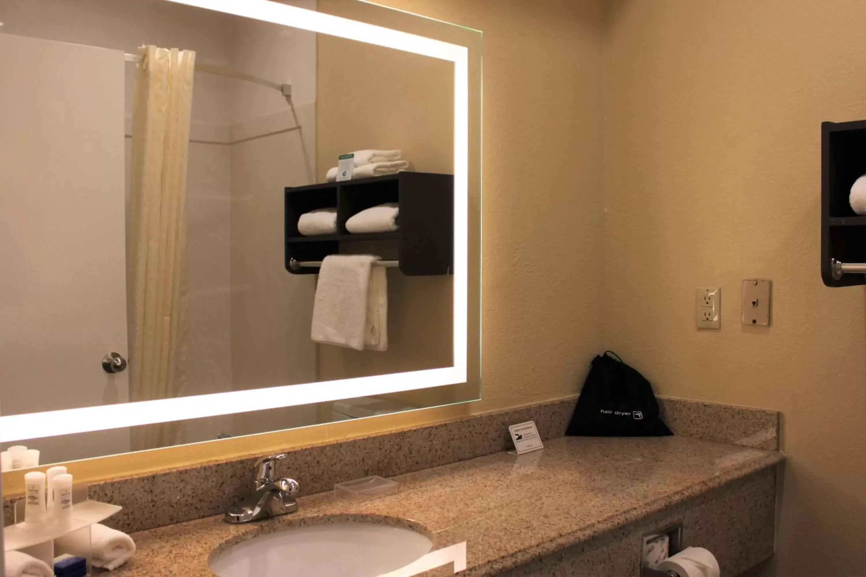 Bathroom in Best Western Plus North Houston Inn & Suites