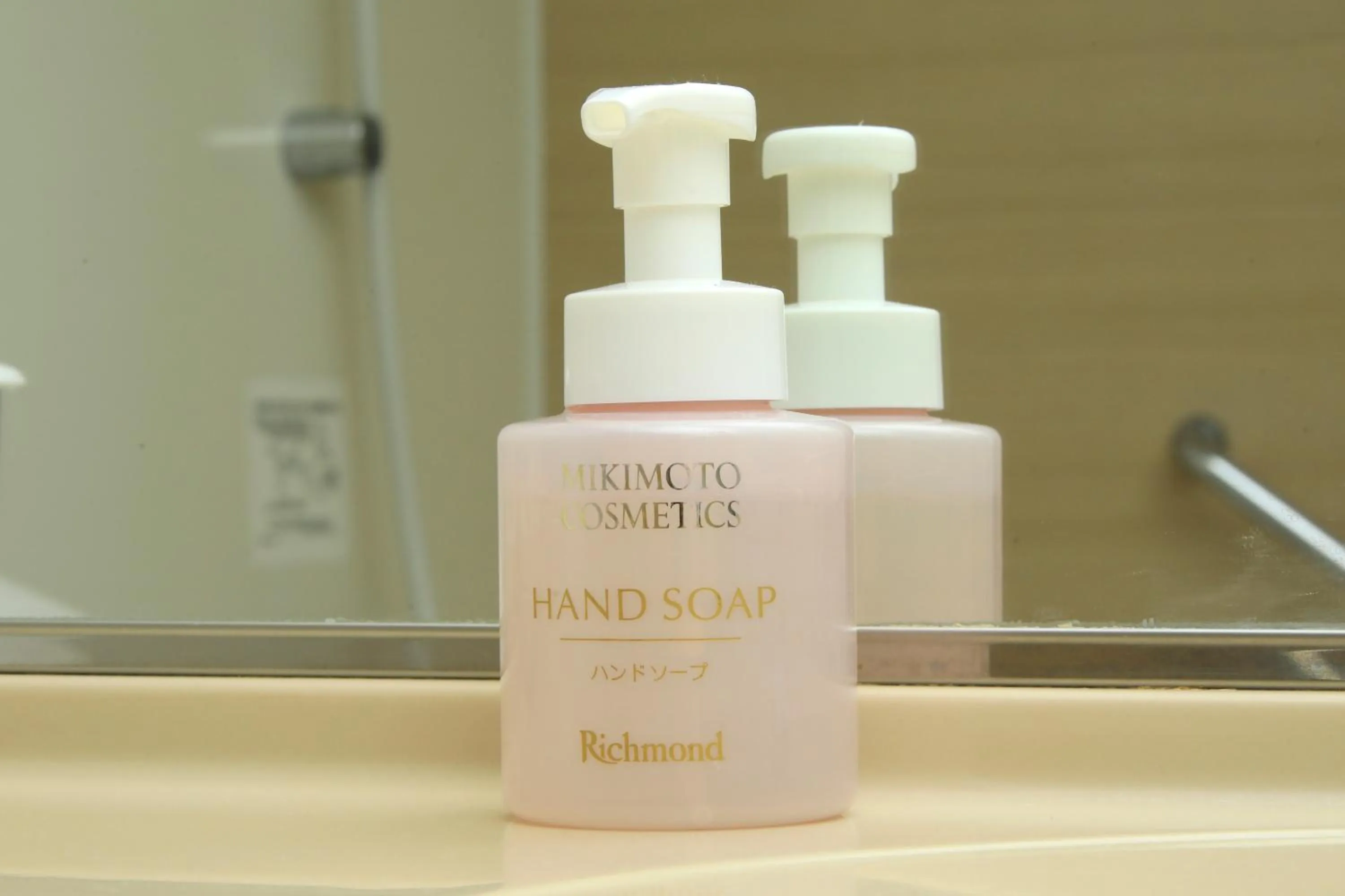 Bathroom in Richmond Hotel Narita