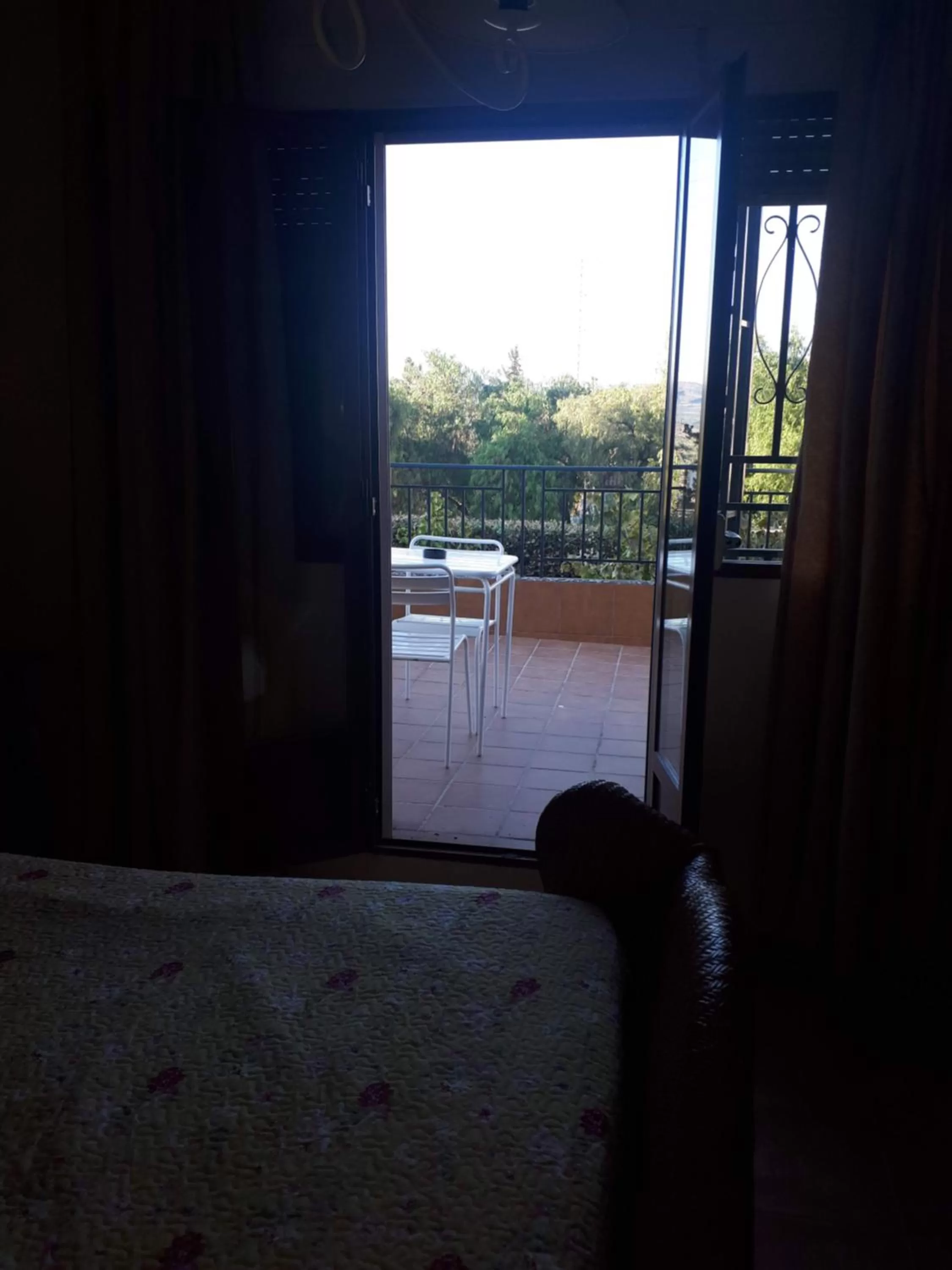 Photo of the whole room in Escua