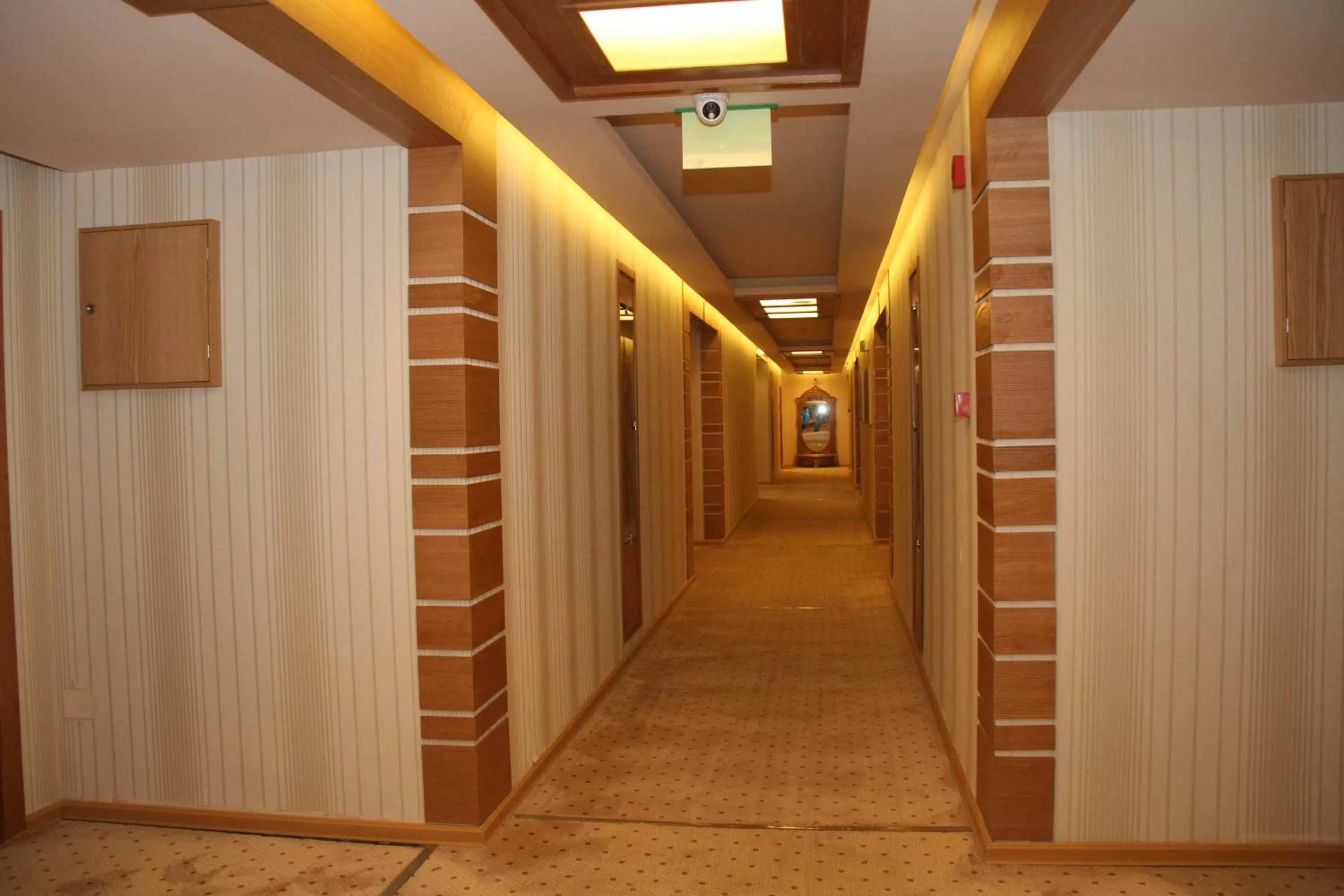 Patio, Bunk Bed in Saleem Afandi Hotel