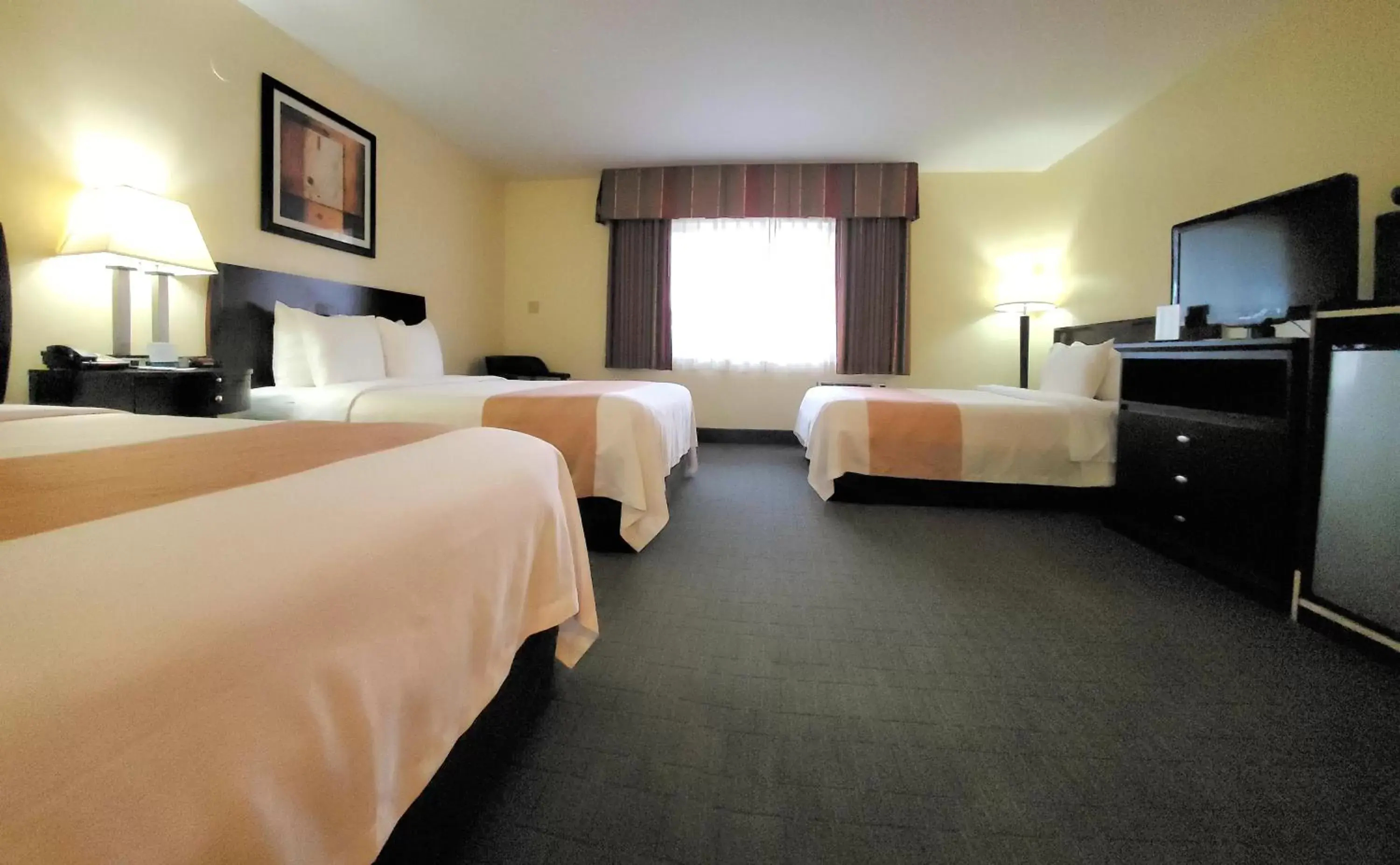 TV and multimedia in Quality Inn & Suites Anaheim at the Park