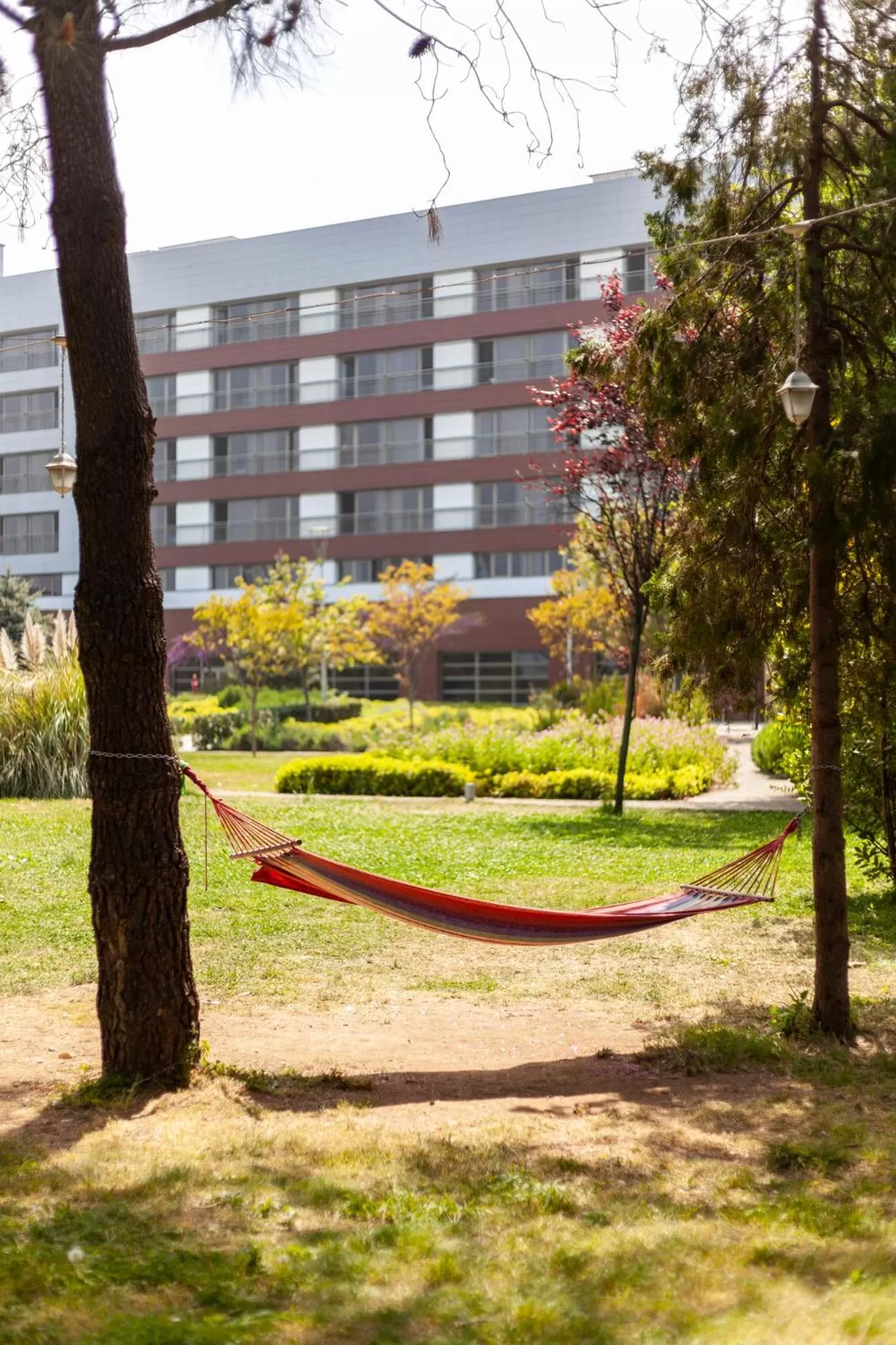 Property building in Novotel Trabzon