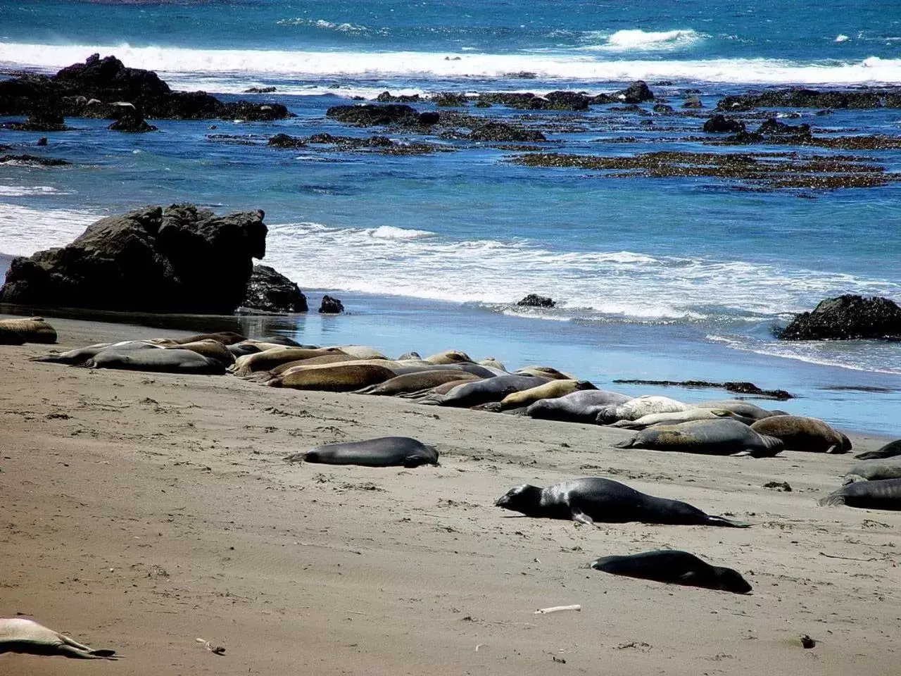 Beach in Rockview Inn and Suites