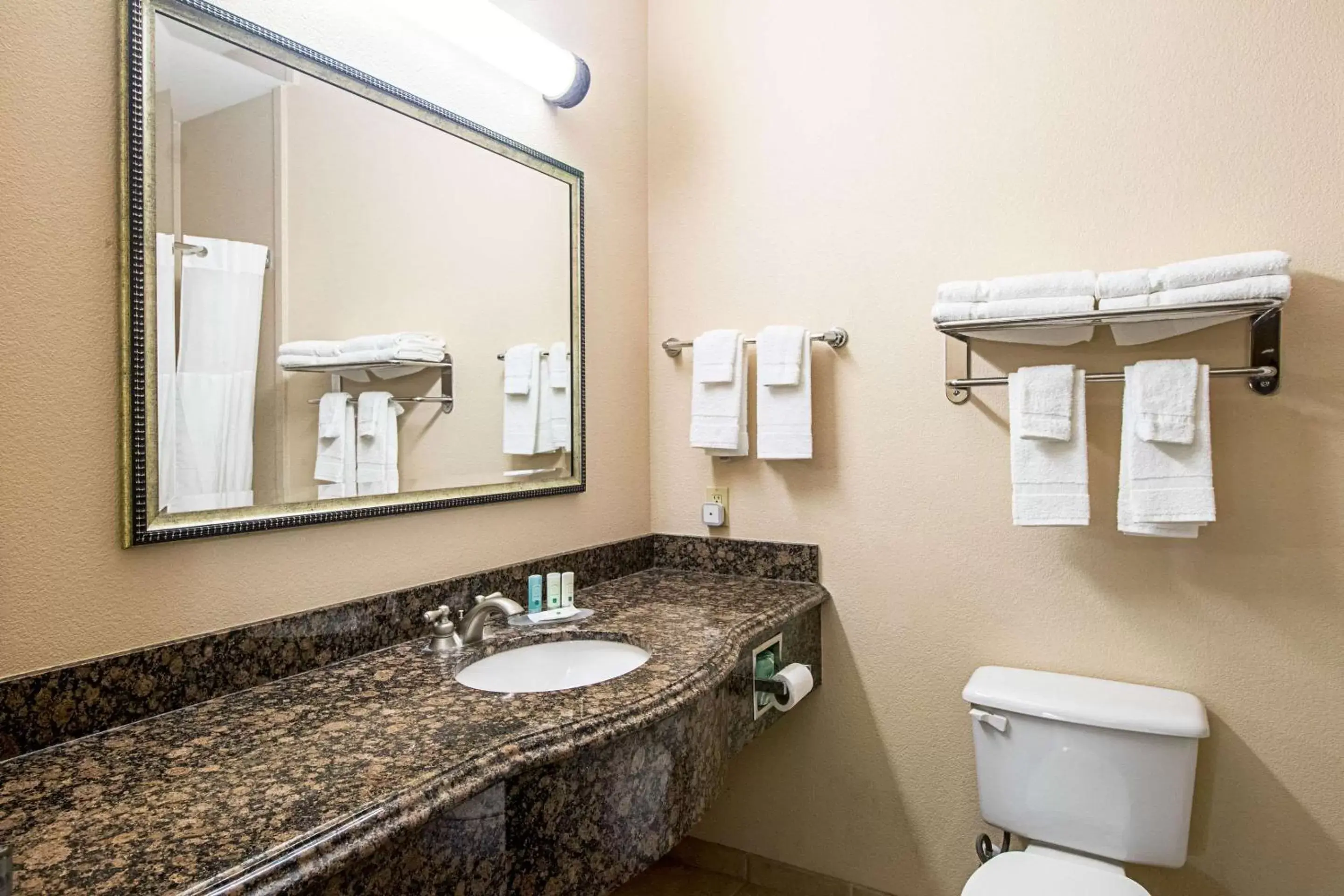 Bedroom, Bathroom in Quality Inn & Suites