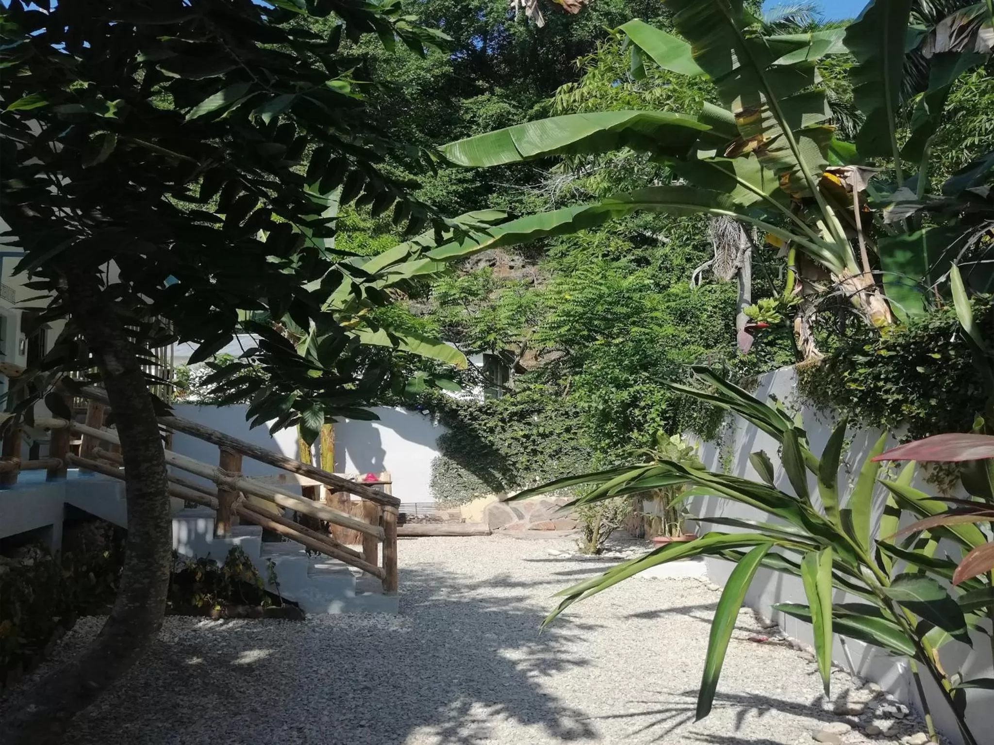 Garden in House Jardin Del Caribe