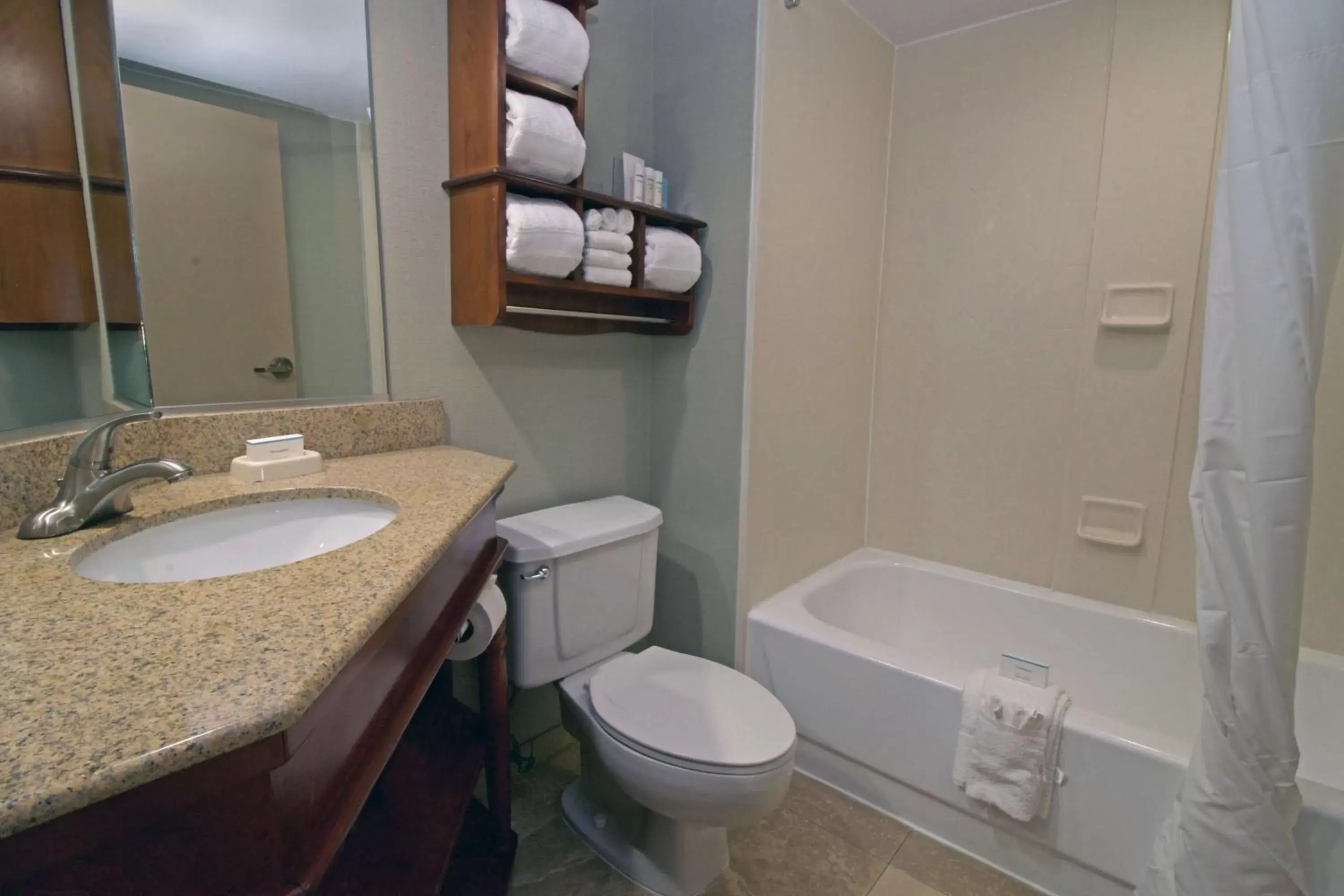 Bathroom in Hampton Inn Norfolk/Chesapeake - Greenbrier Area