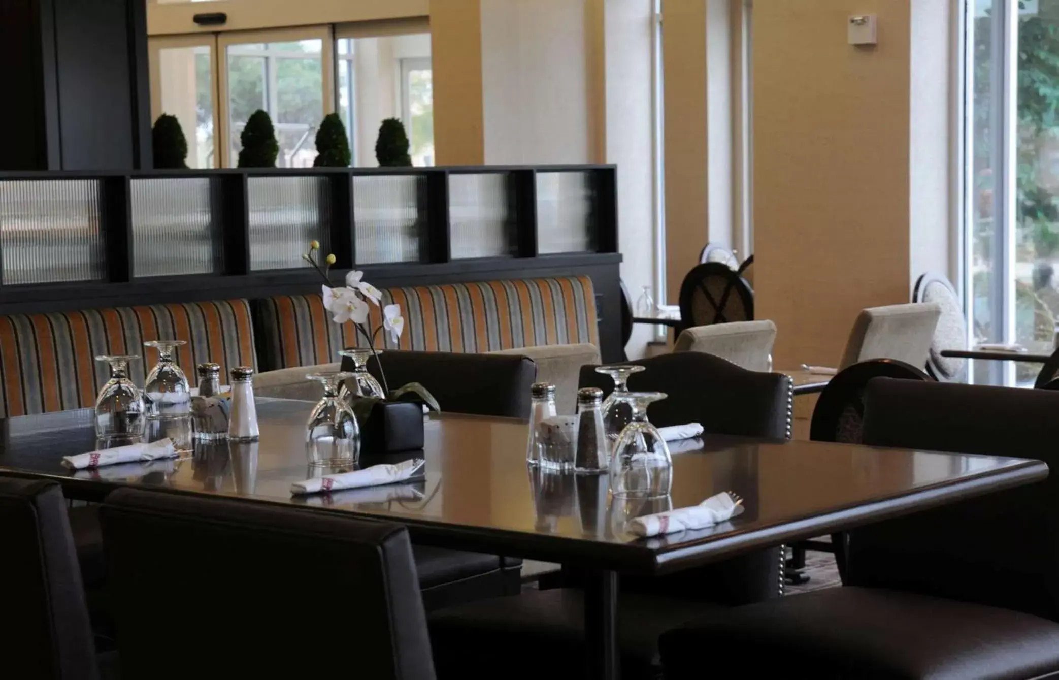 Lobby or reception, Restaurant/Places to Eat in Hilton Garden Inn New Braunfels