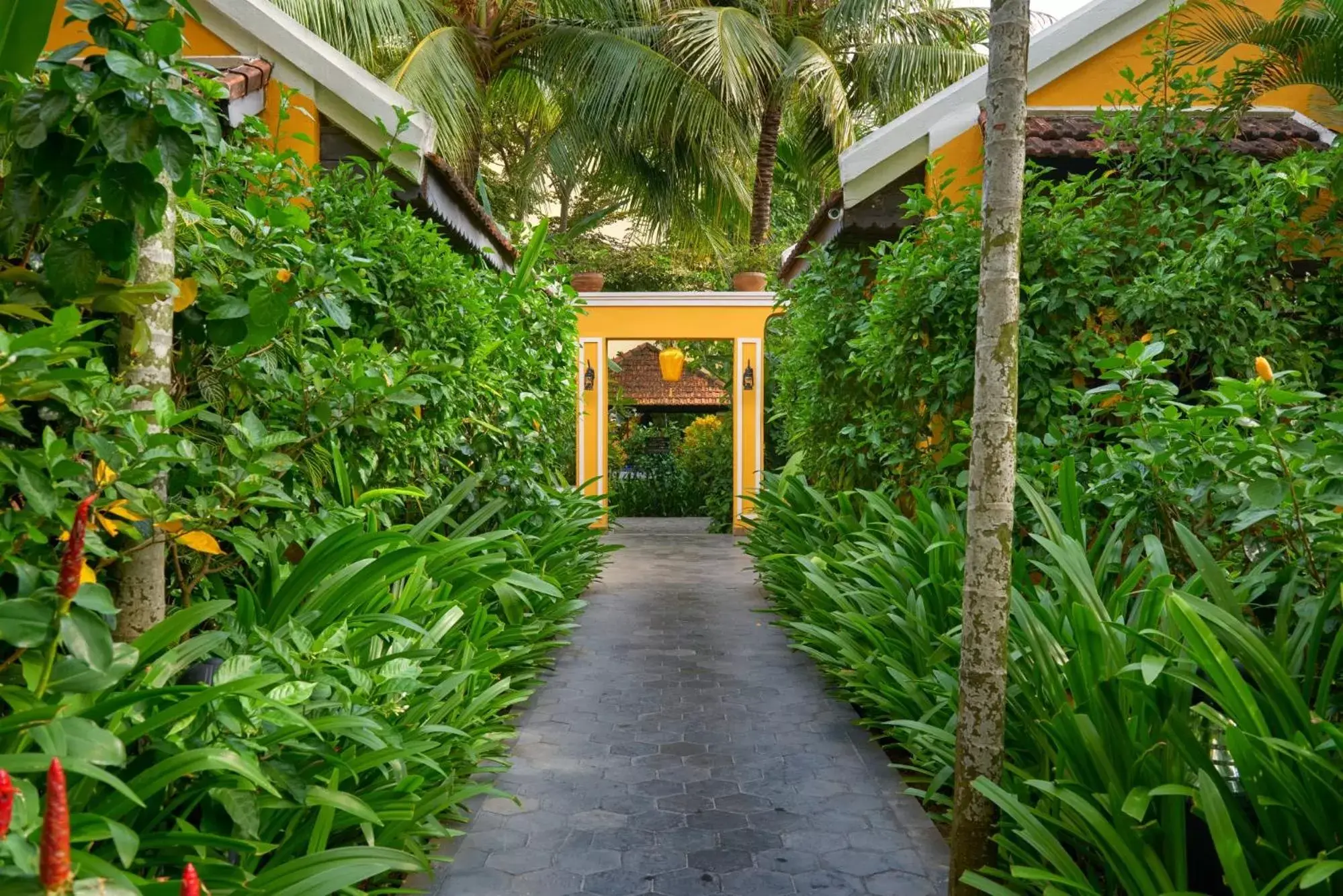 Garden in La Siesta Hoi An Resort & Spa