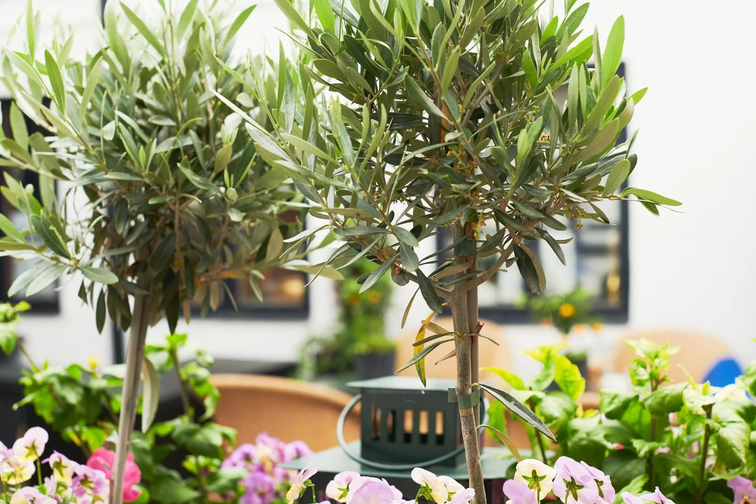 Inner courtyard view in Hotell Bäckagården