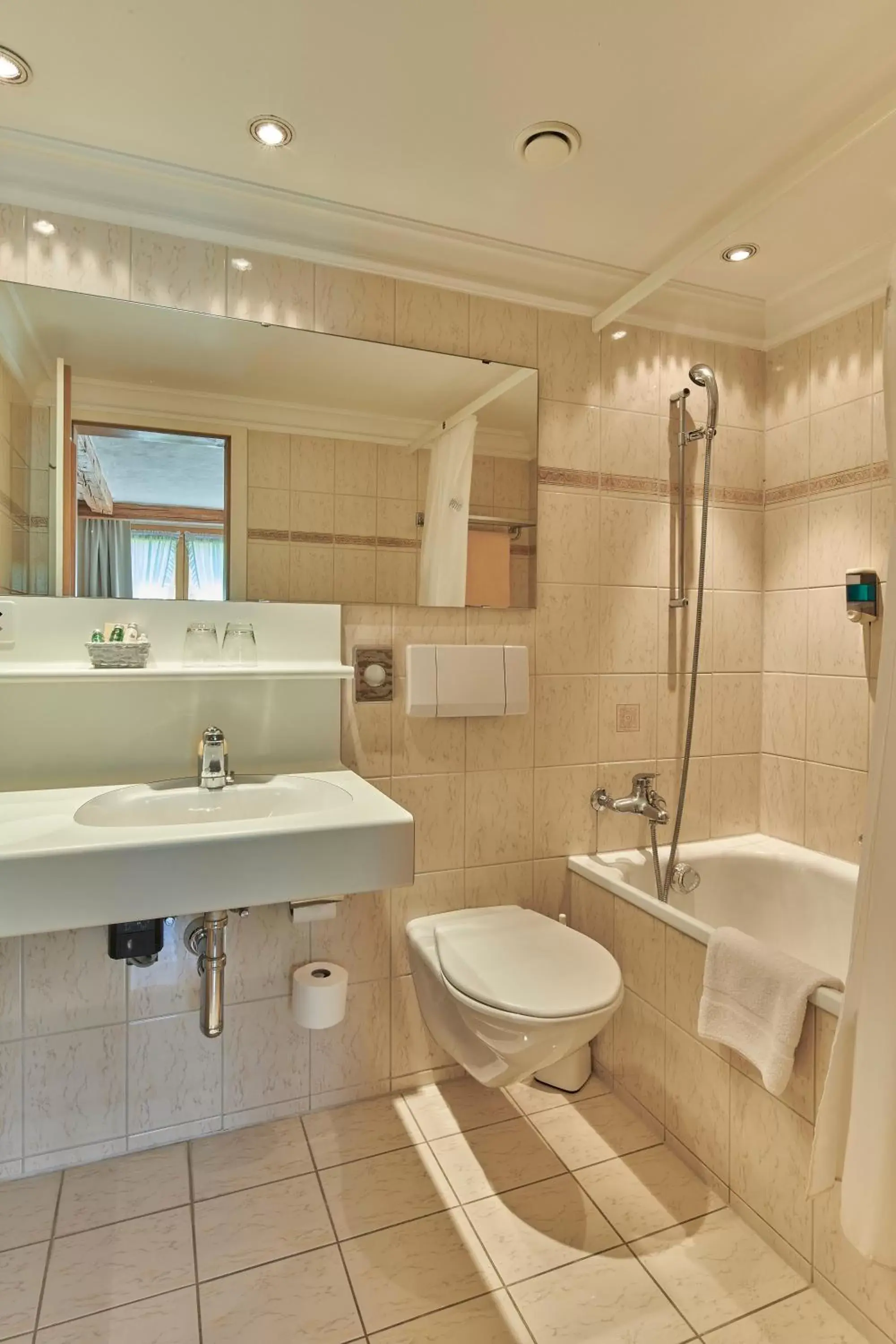 Bathroom in Hotel Alphorn