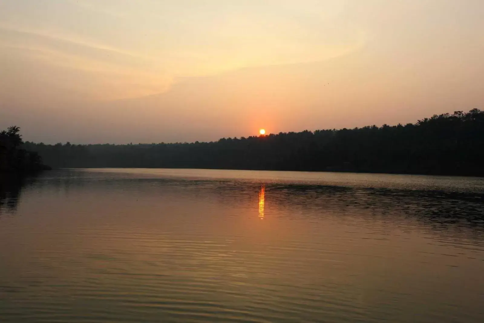 View (from property/room) in Fragrant Nature Backwater Resort & Ayurveda Spa Kollam