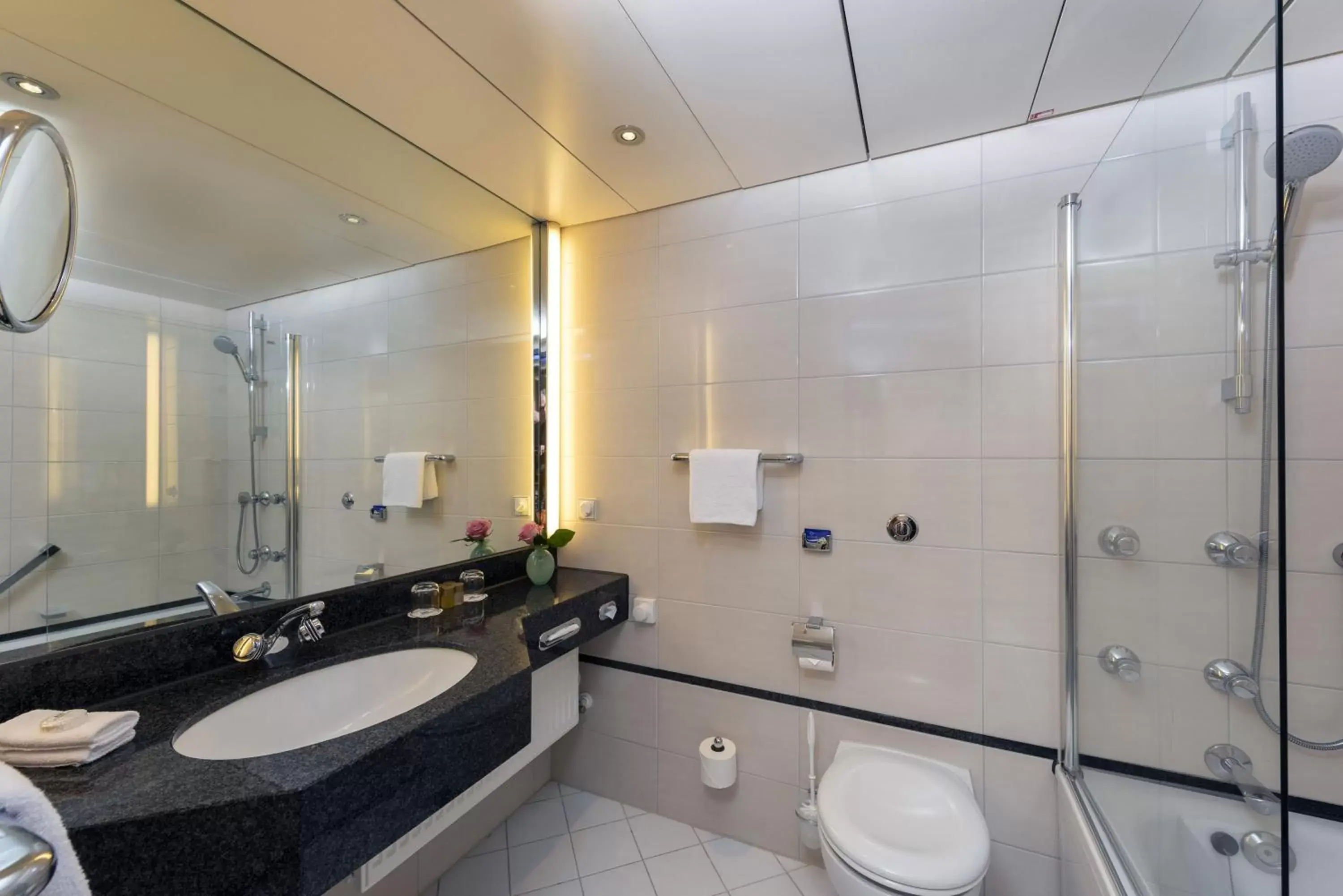 Bathroom in Maritim Hotel Frankfurt