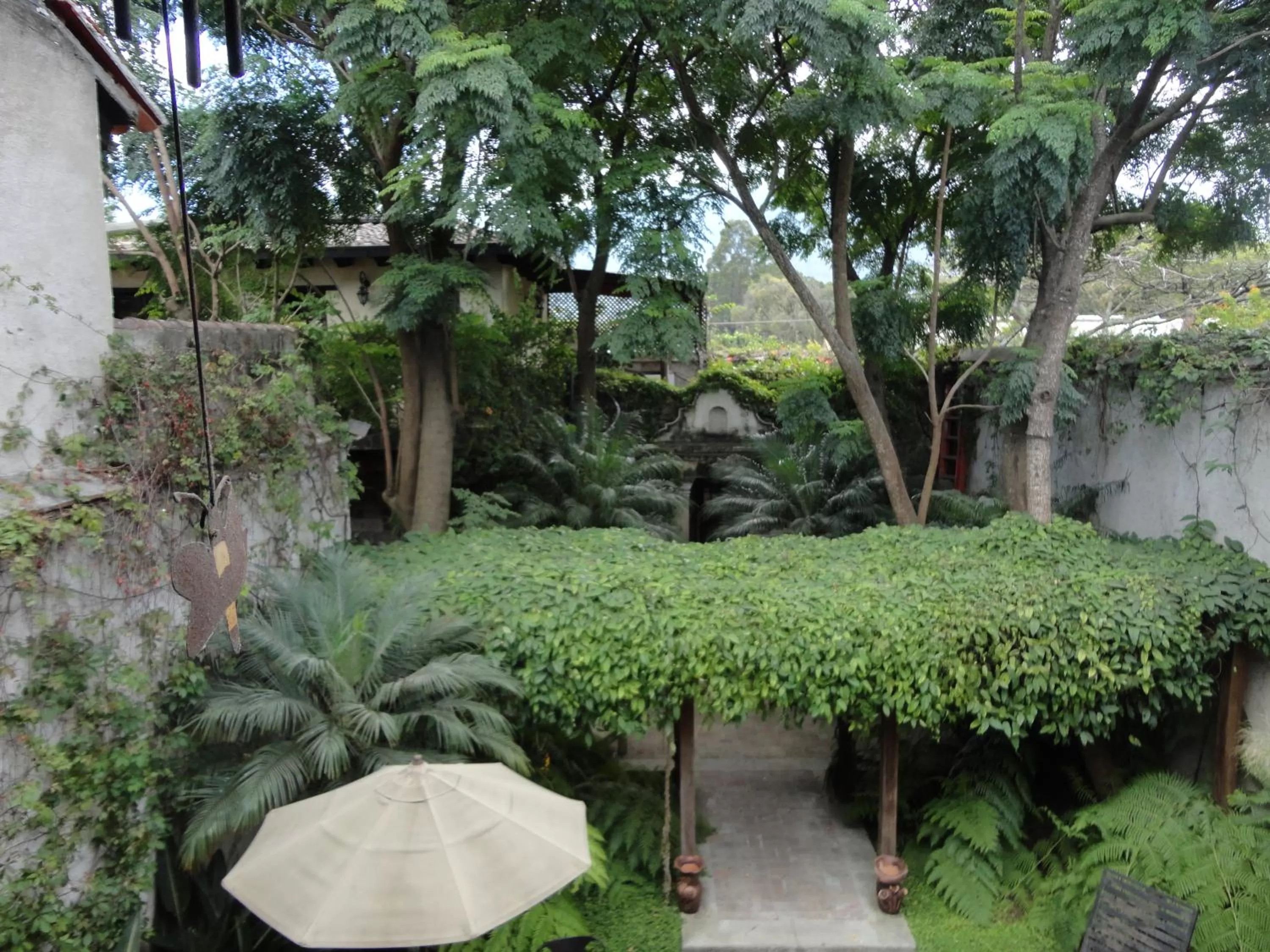 Garden in Cissus Hotel Boutique