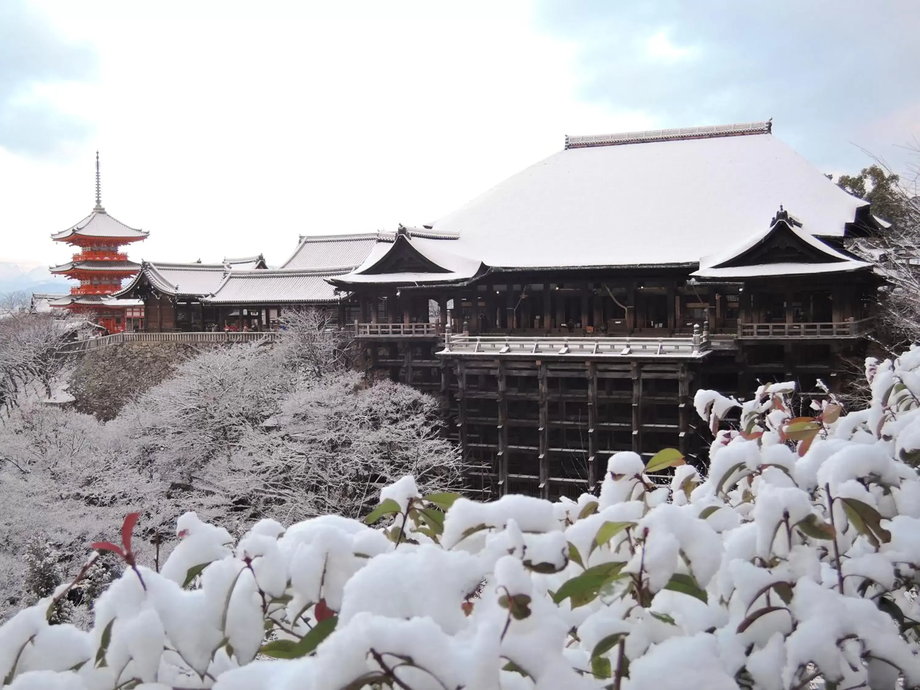 Nearby landmark, Winter in eph KYOTO