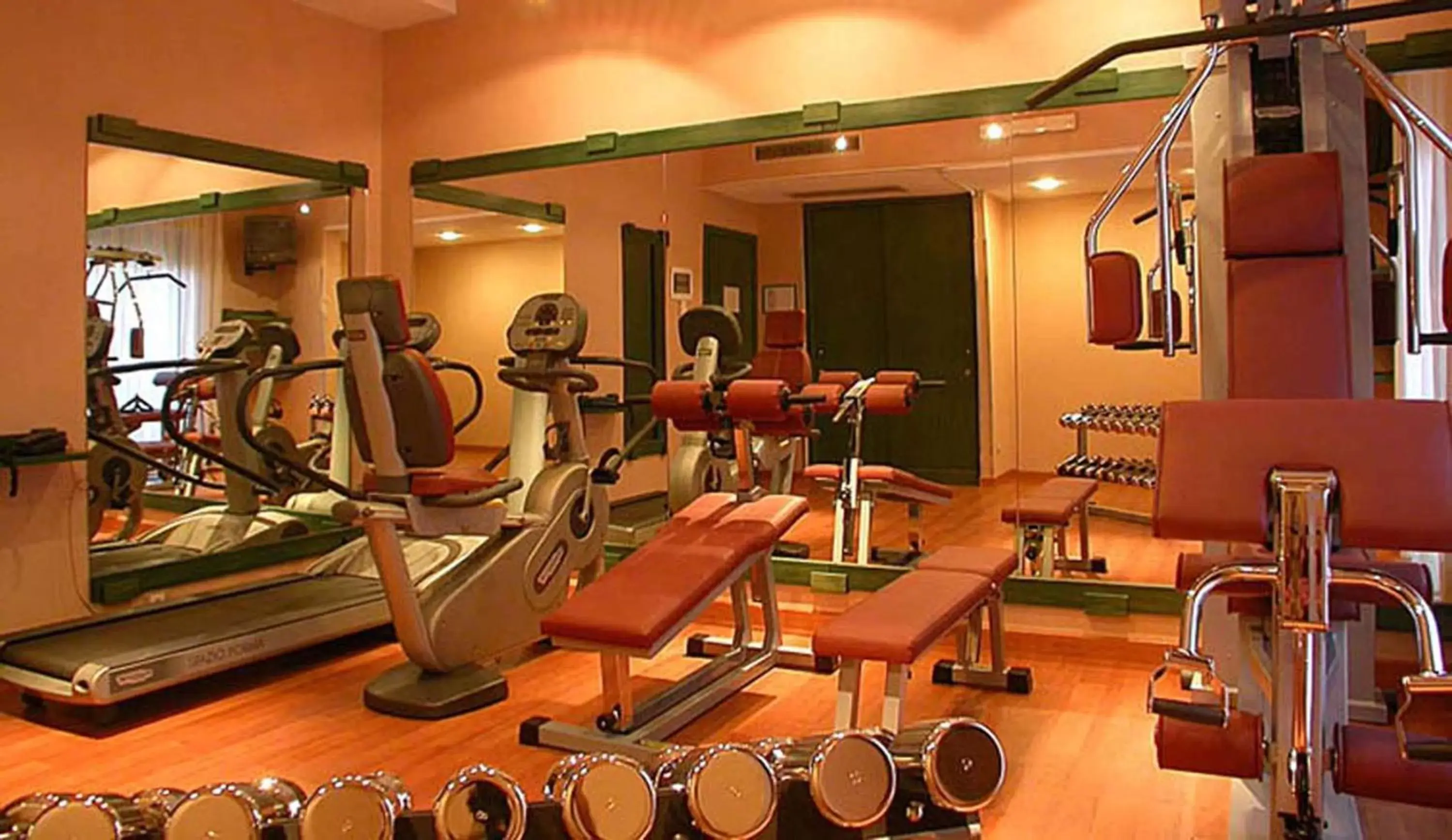 Fitness centre/facilities, Fitness Center/Facilities in Best Western Hotel Mediterraneo