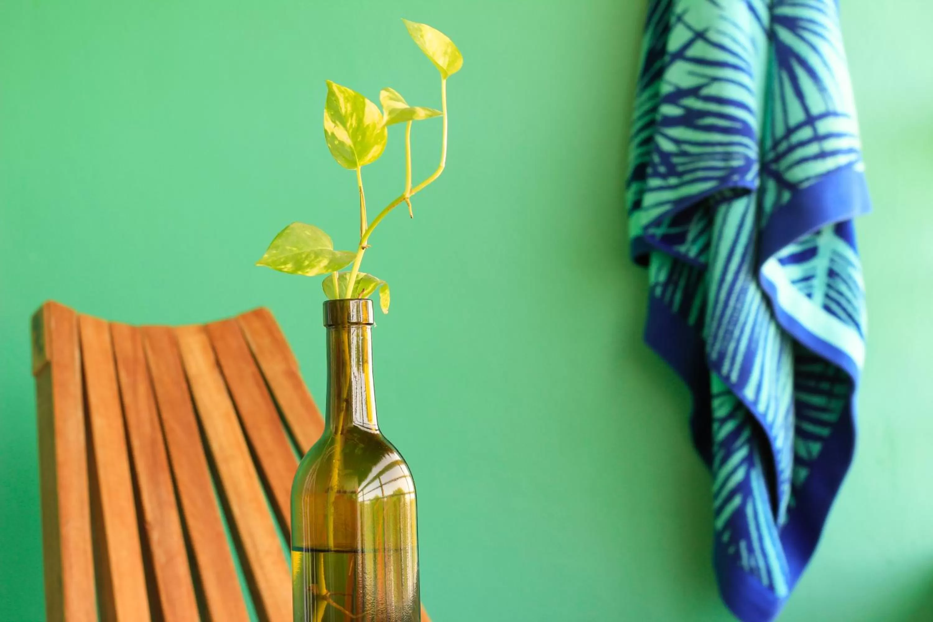 Balcony/Terrace in La Palmita Budget Boutique Hotel