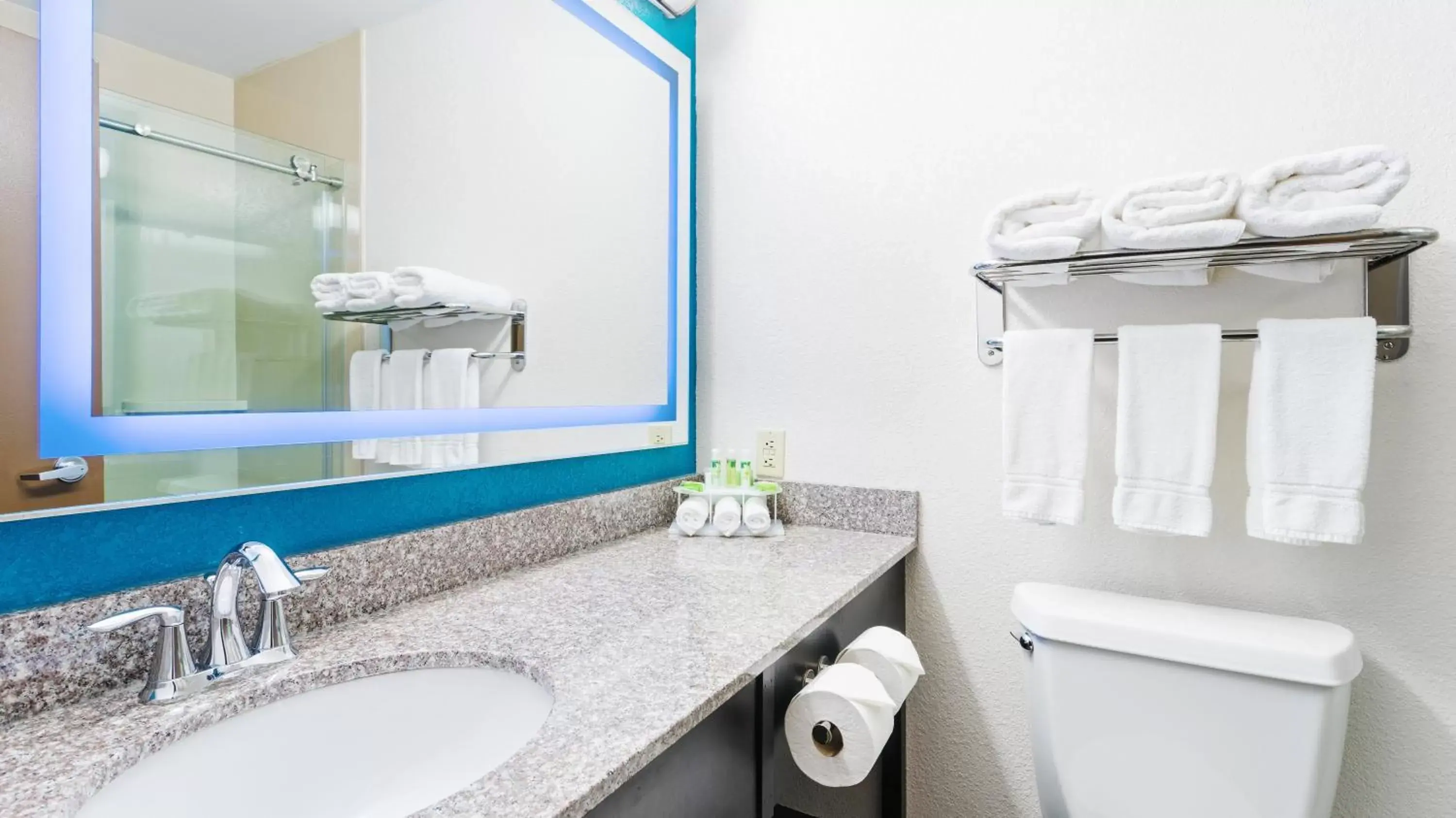 Photo of the whole room, Bathroom in Holiday Inn Express & Suites Wyomissing, an IHG Hotel