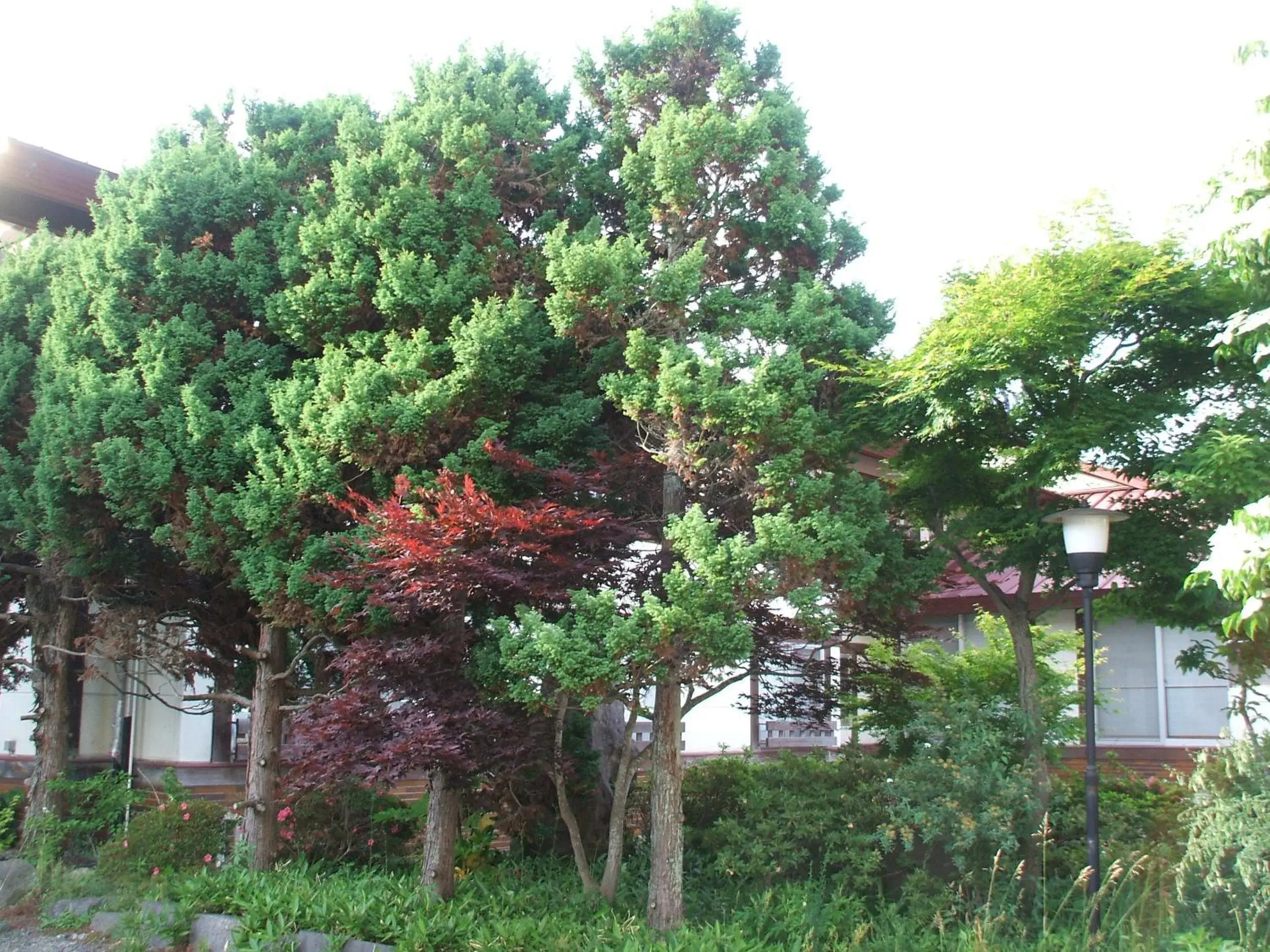 Other, Garden in Fujiya Ryokan