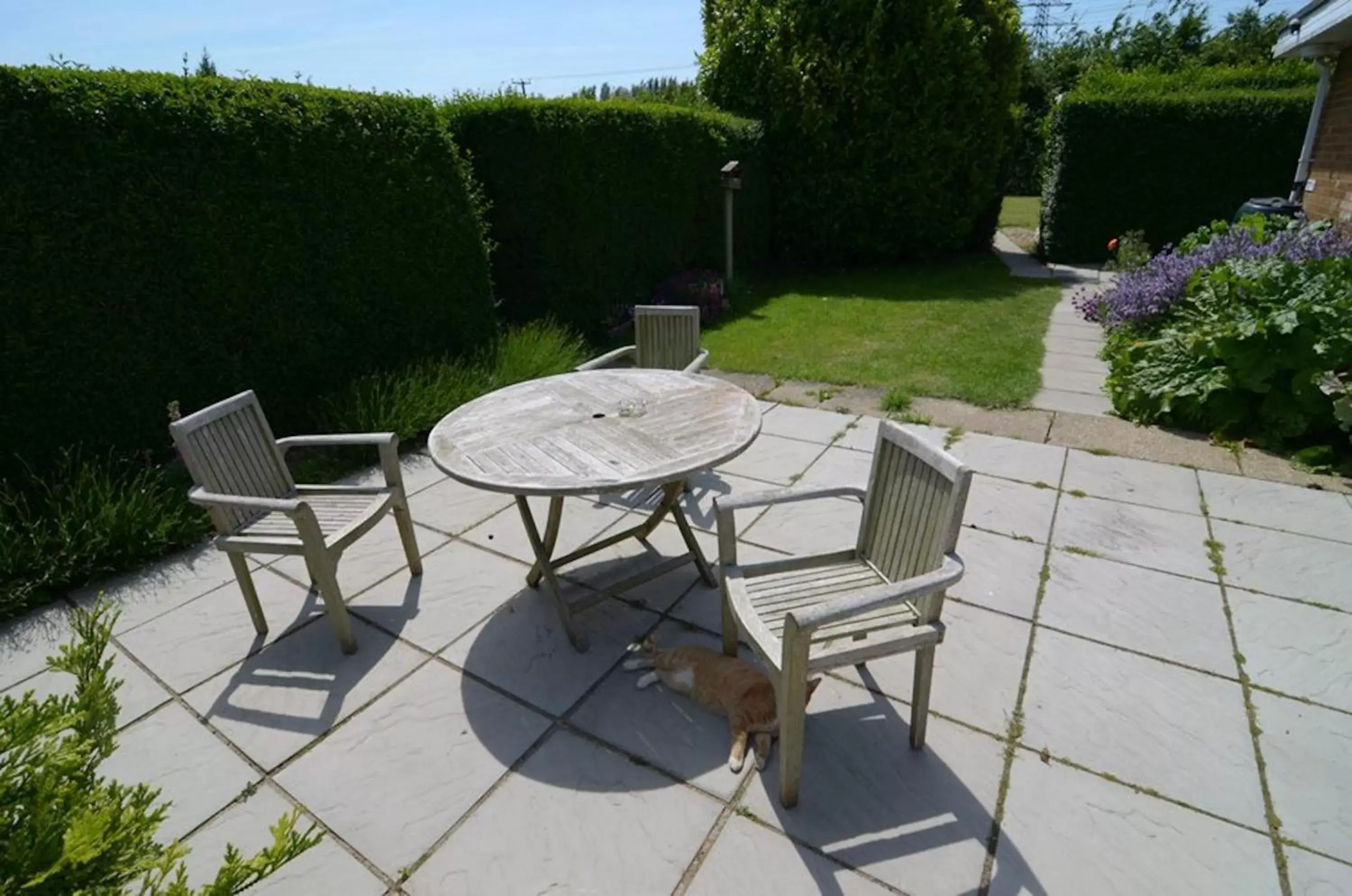 Patio, Patio/Outdoor Area in Fourwinds B&B