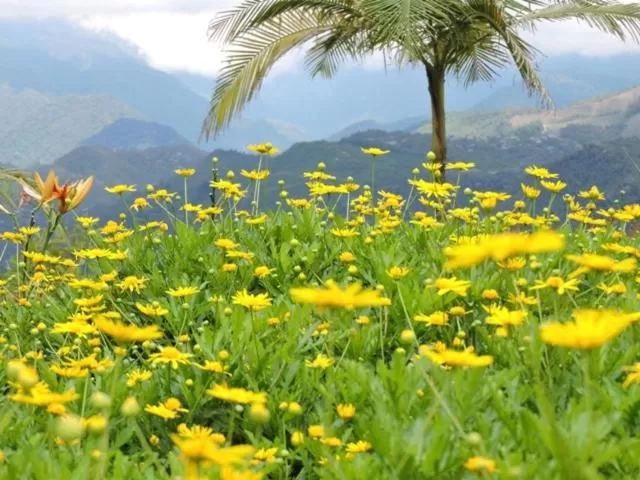 Natural landscape in Hotel Reserva Monarca