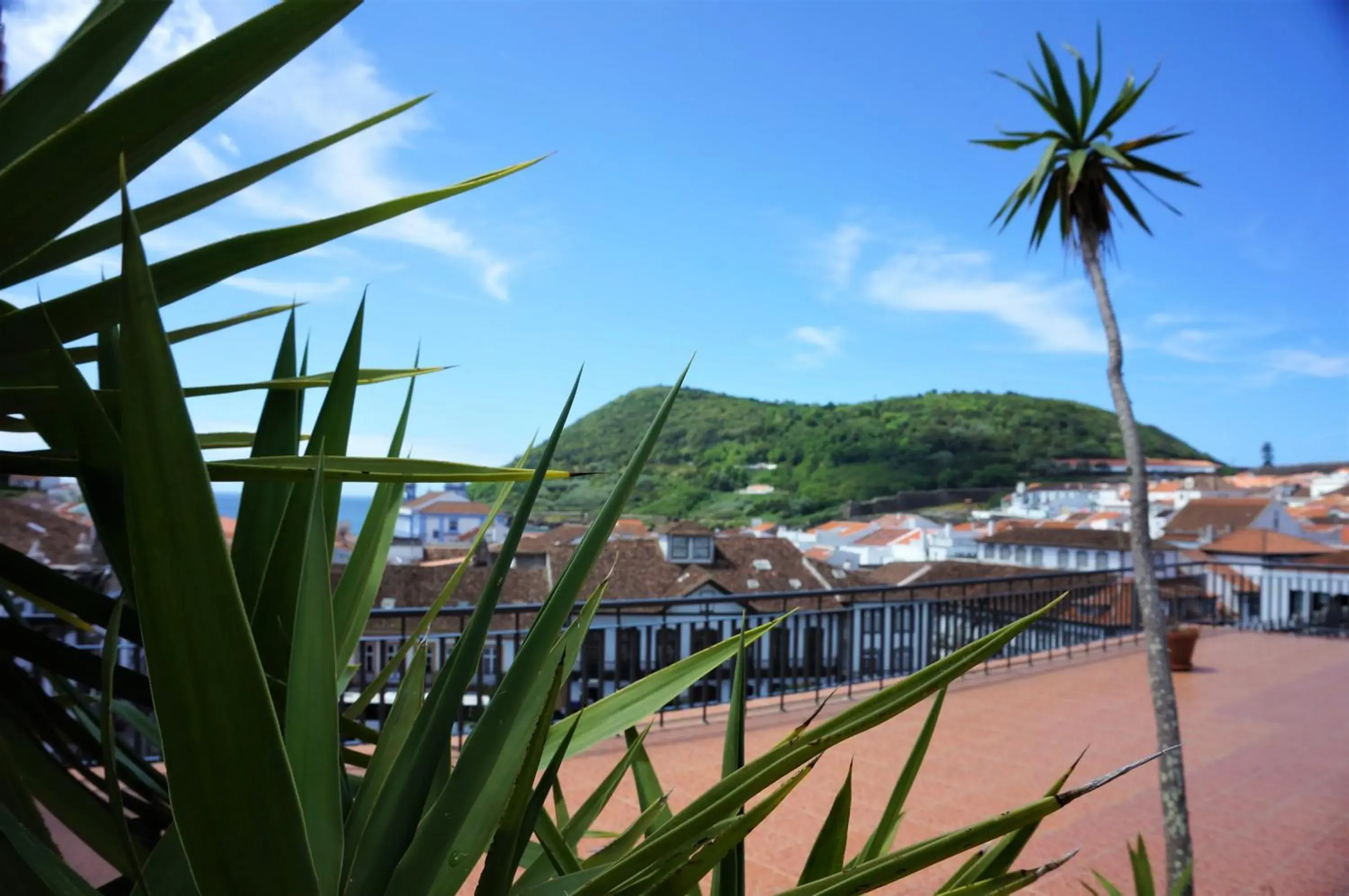 Balcony/Terrace in Azoris Angra Garden – Plaza Hotel