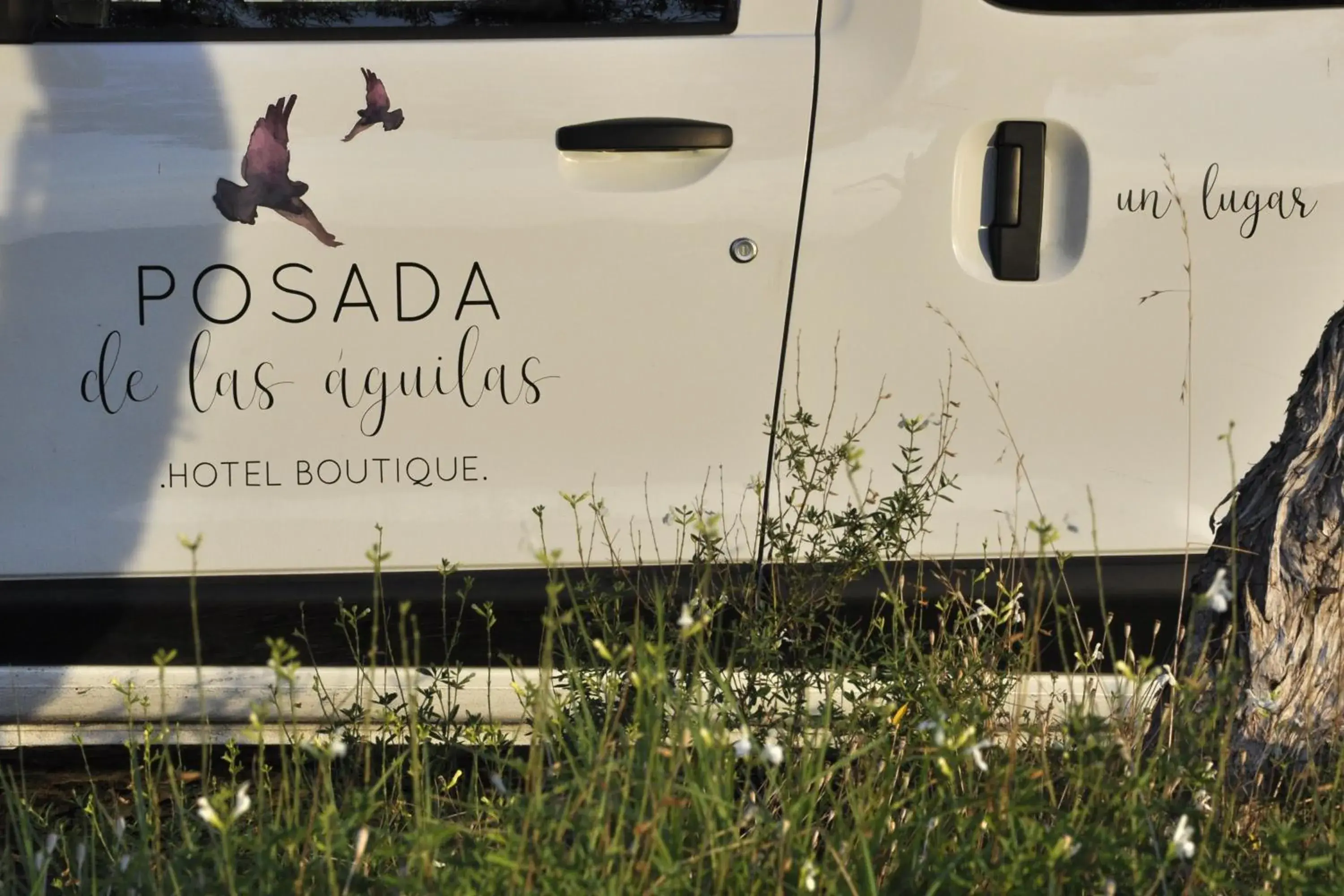 Logo/Certificate/Sign in Posada de las Aguilas Hotel Boutique