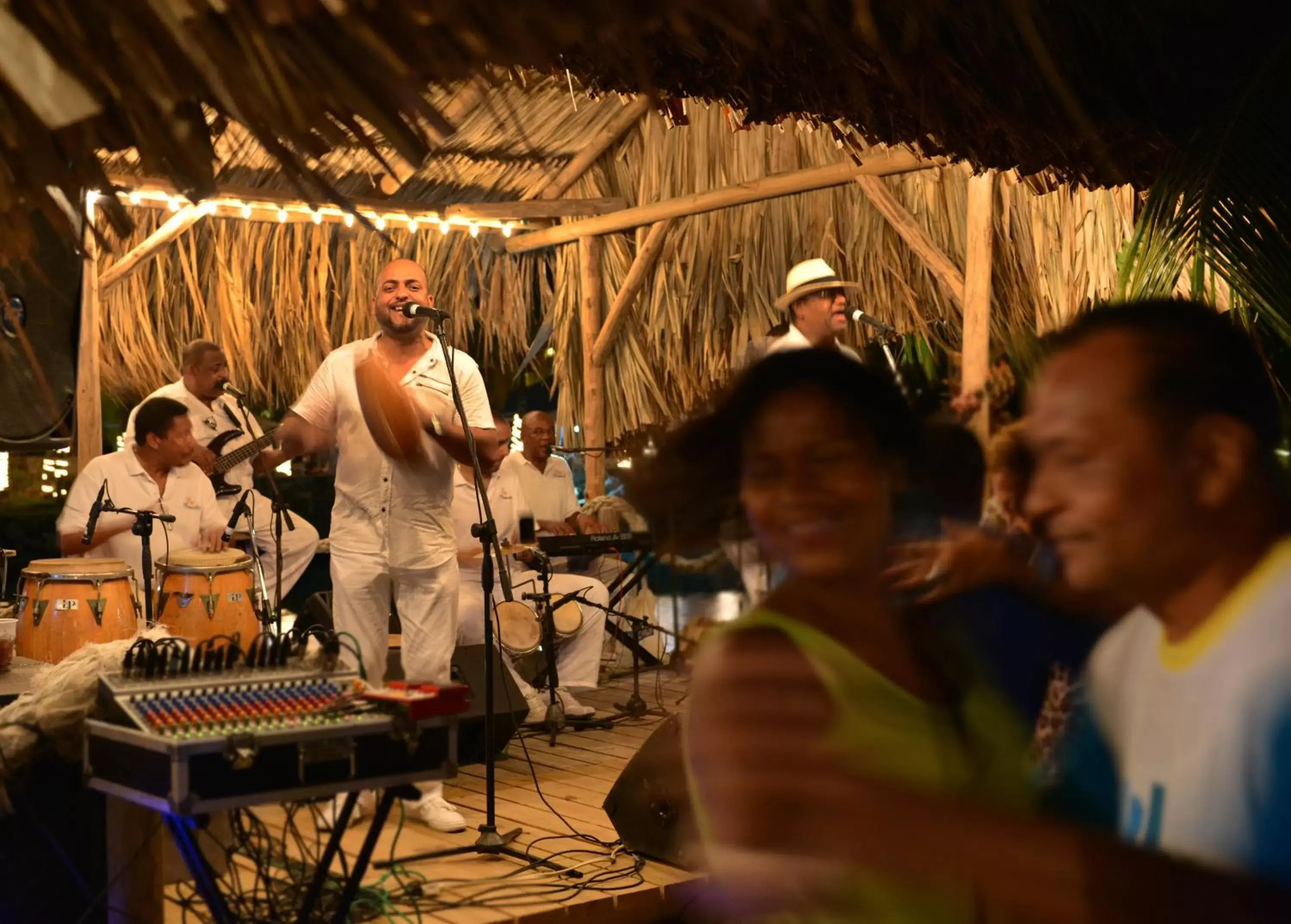 Lounge or bar, Other Activities in LionsDive Beach Resort