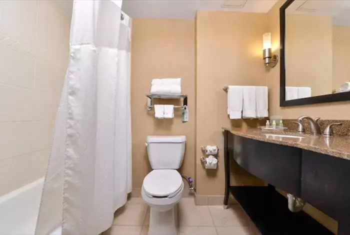 Bathroom in Holiday Inn Fort Worth North- Fossil Creek, an IHG Hotel