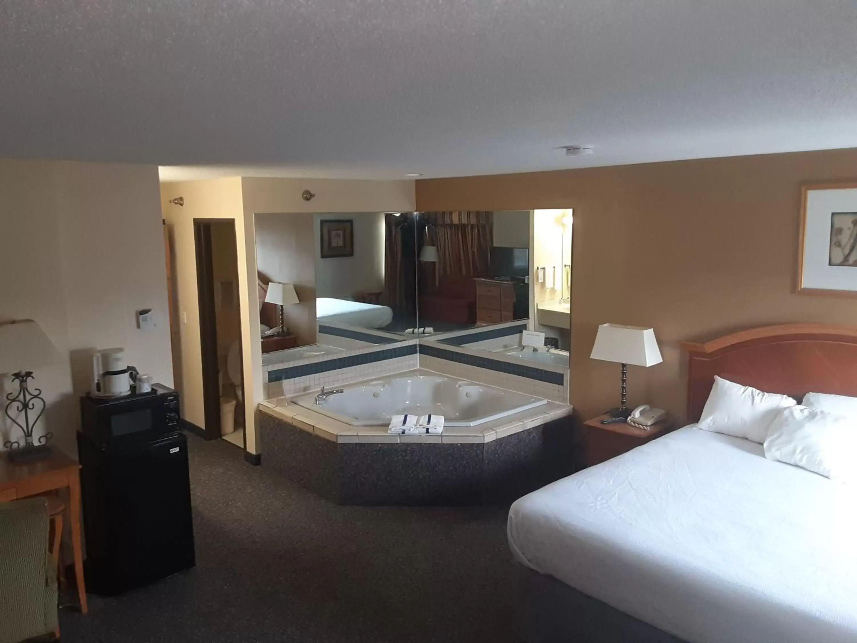 American Inn and Suites Ionia