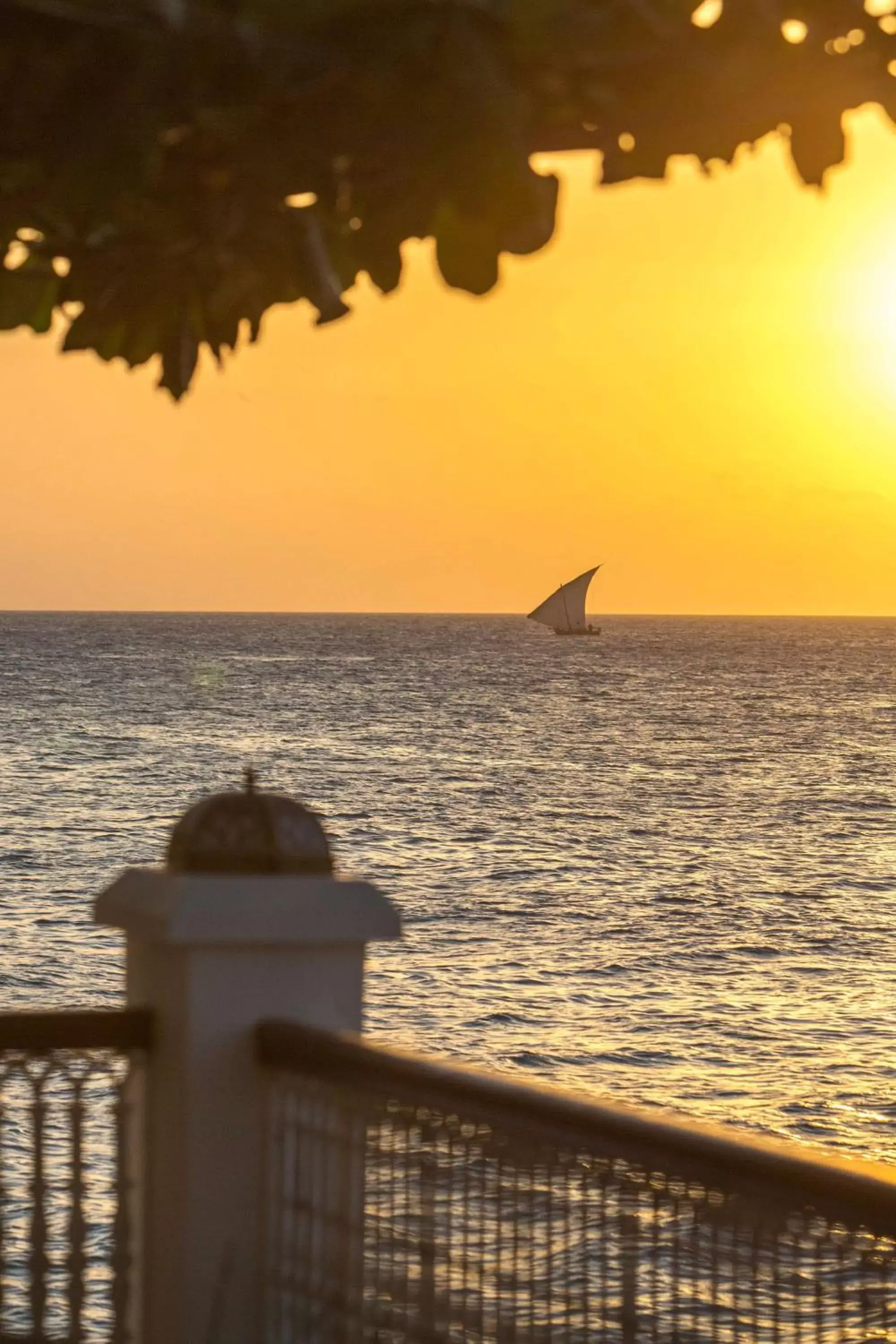 Off site in Park Hyatt Zanzibar