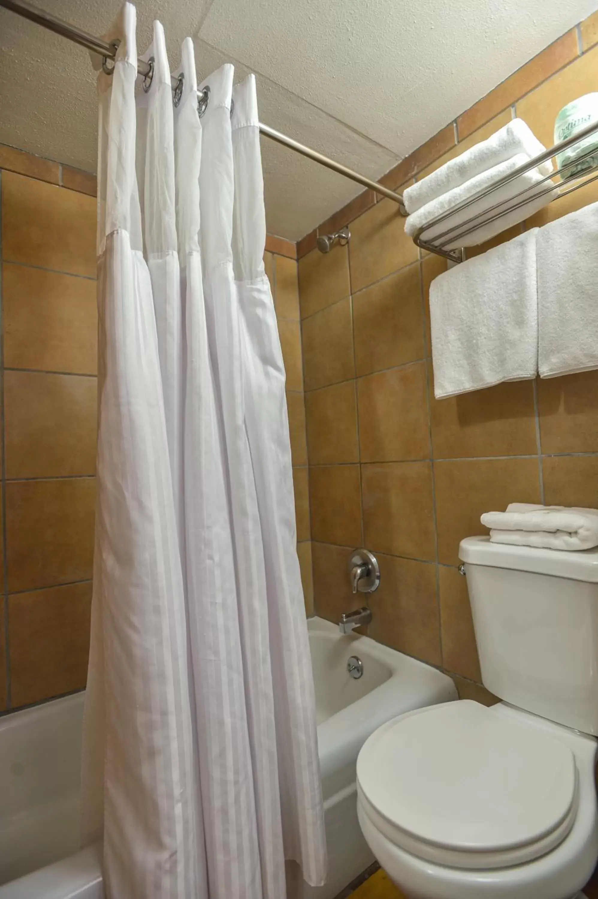 Shower, Bathroom in Big Horn Lodge