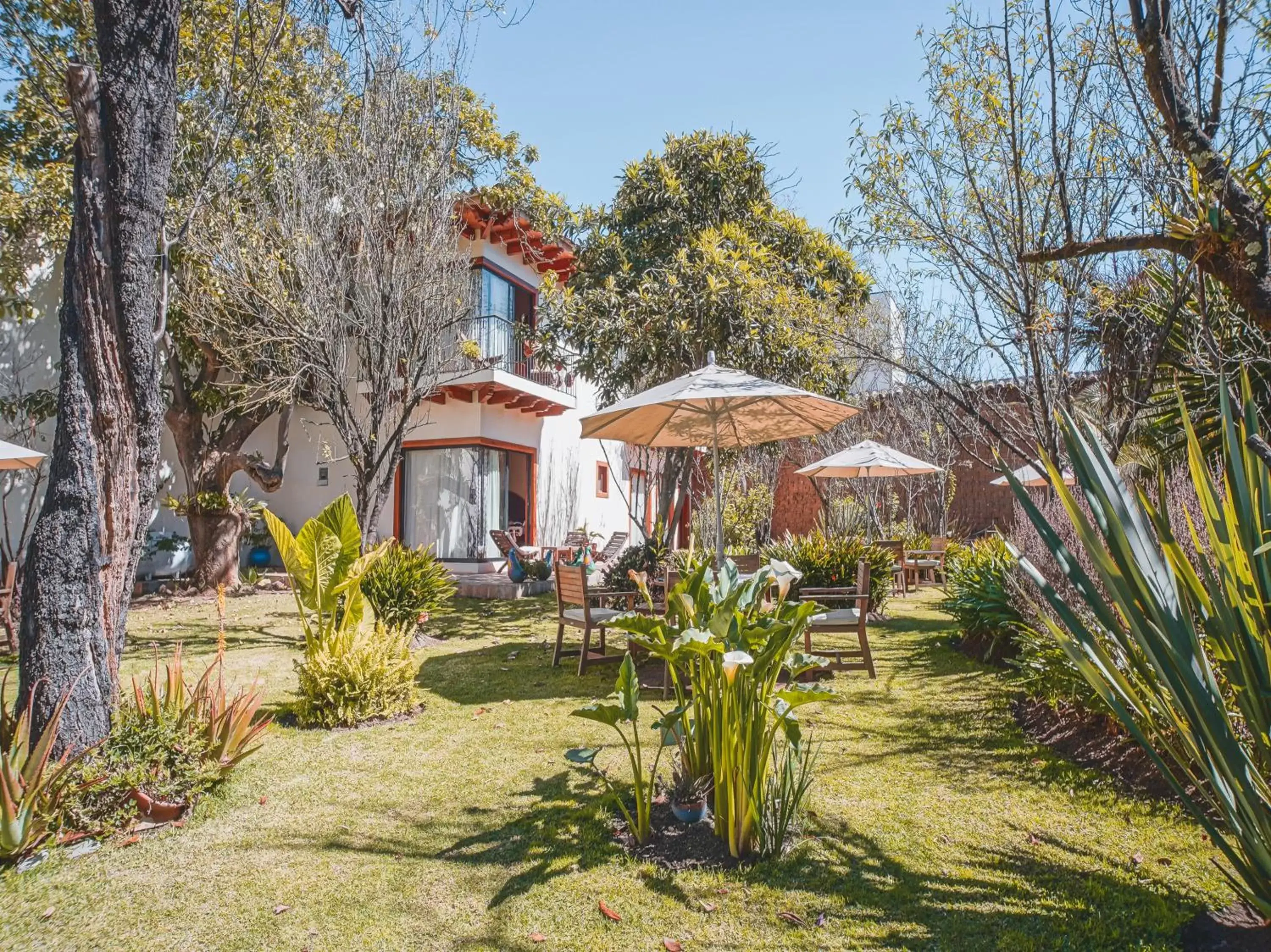 Natural landscape, Property Building in Hotel Casa de Familia de San Cristobal