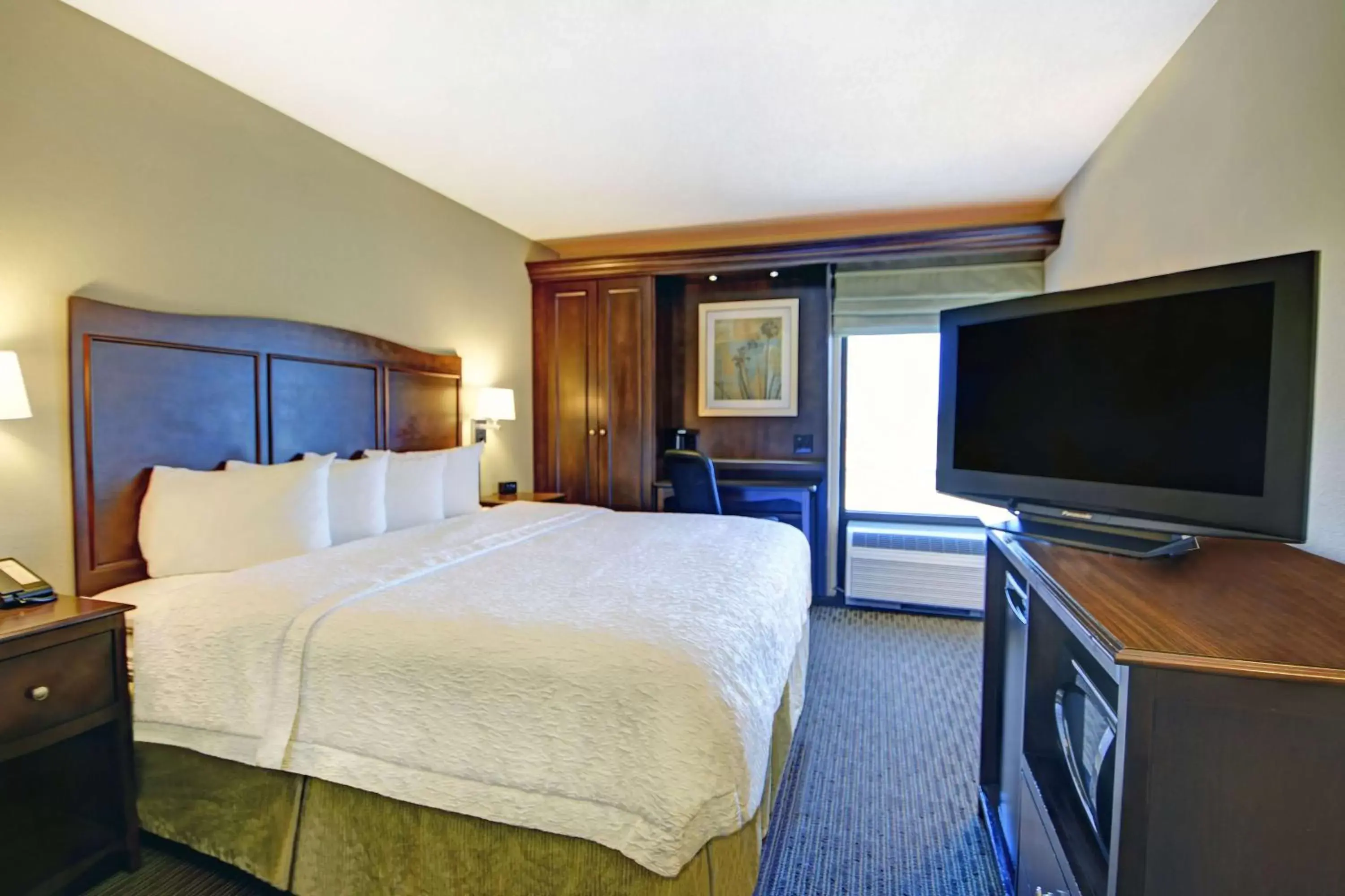 Bedroom, TV/Entertainment Center in Hampton Inn Kansas City - Airport