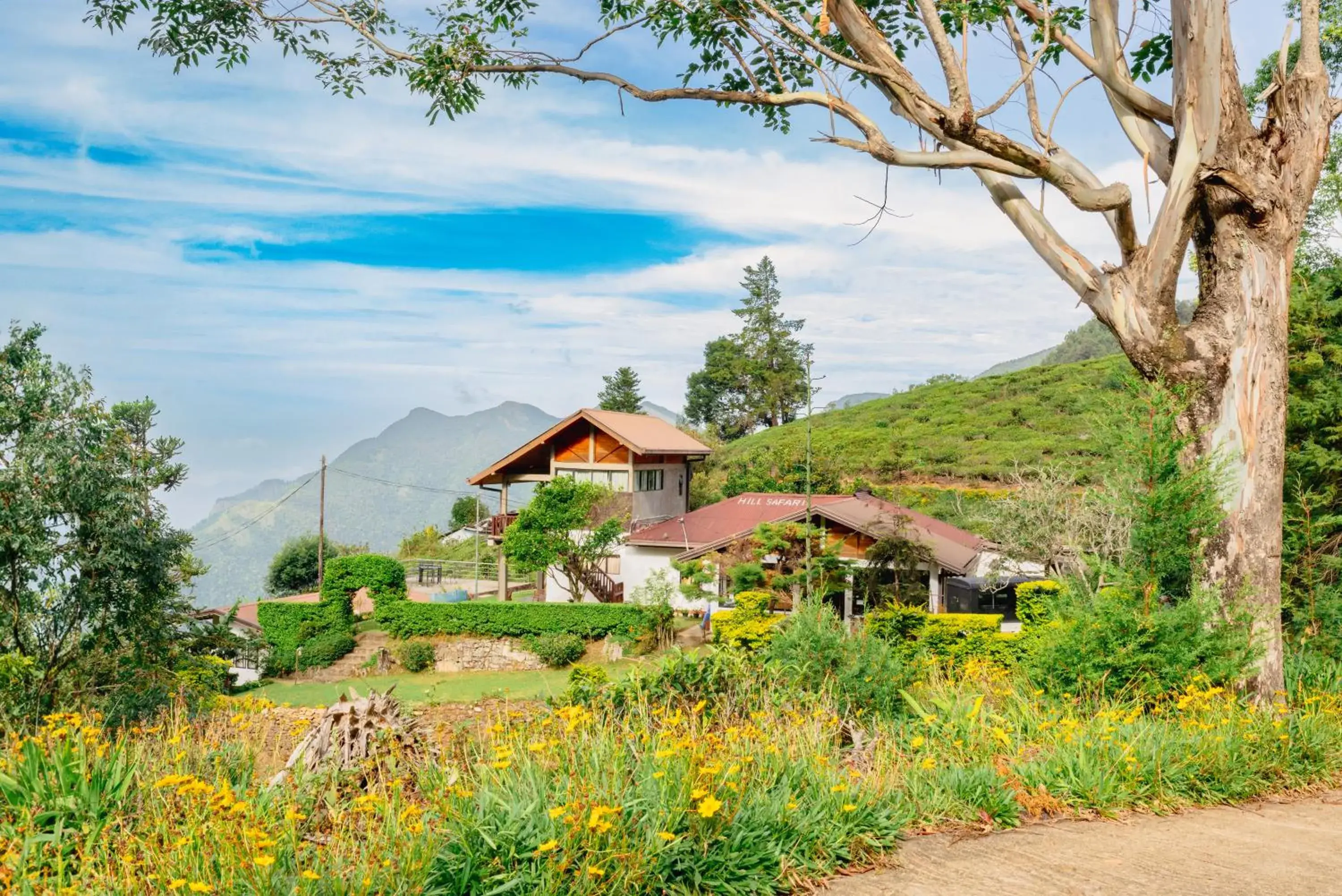 Property Building in Hill Safari Eco Lodge