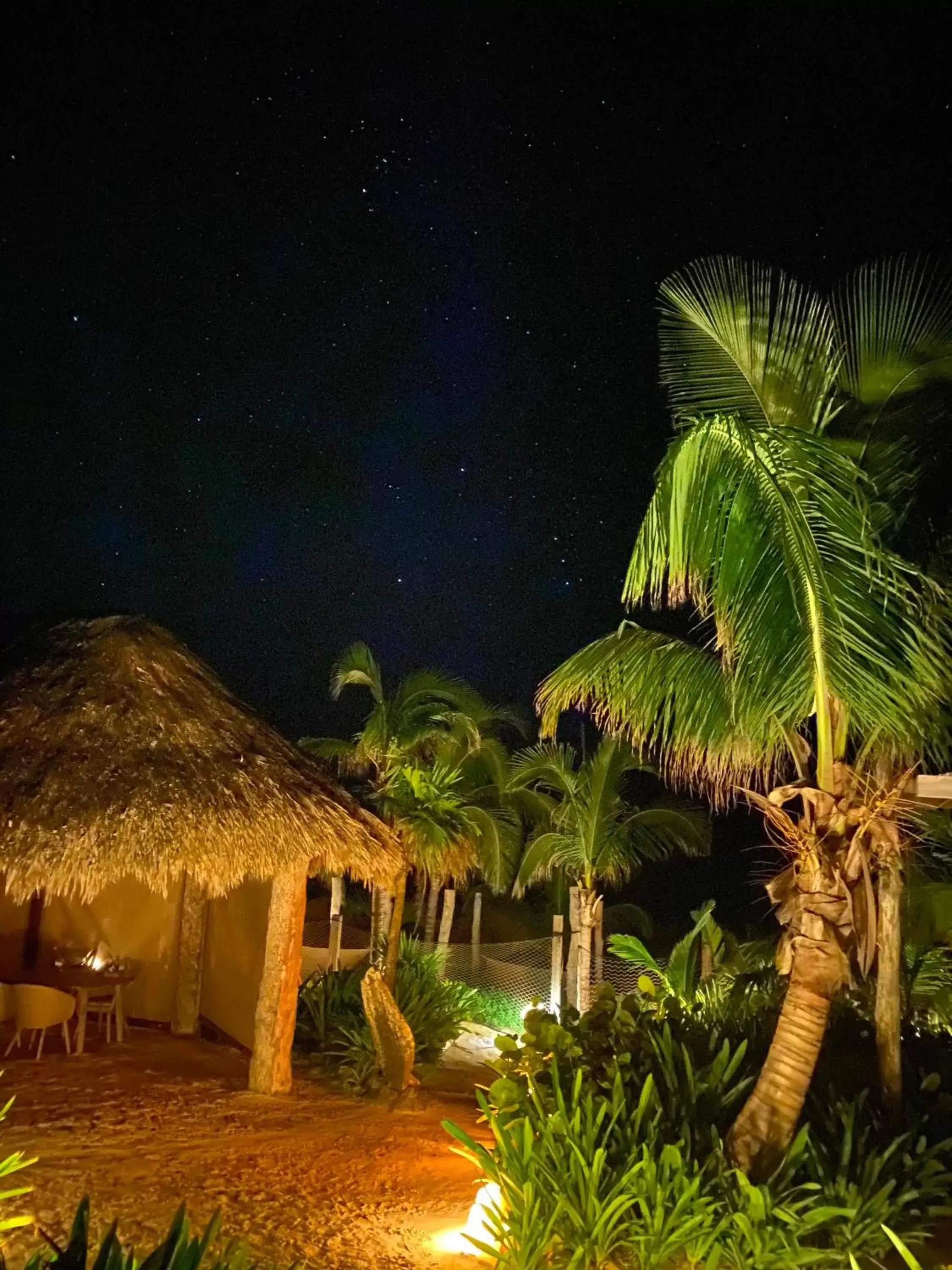 View (from property/room), Garden in Sueños Tulum