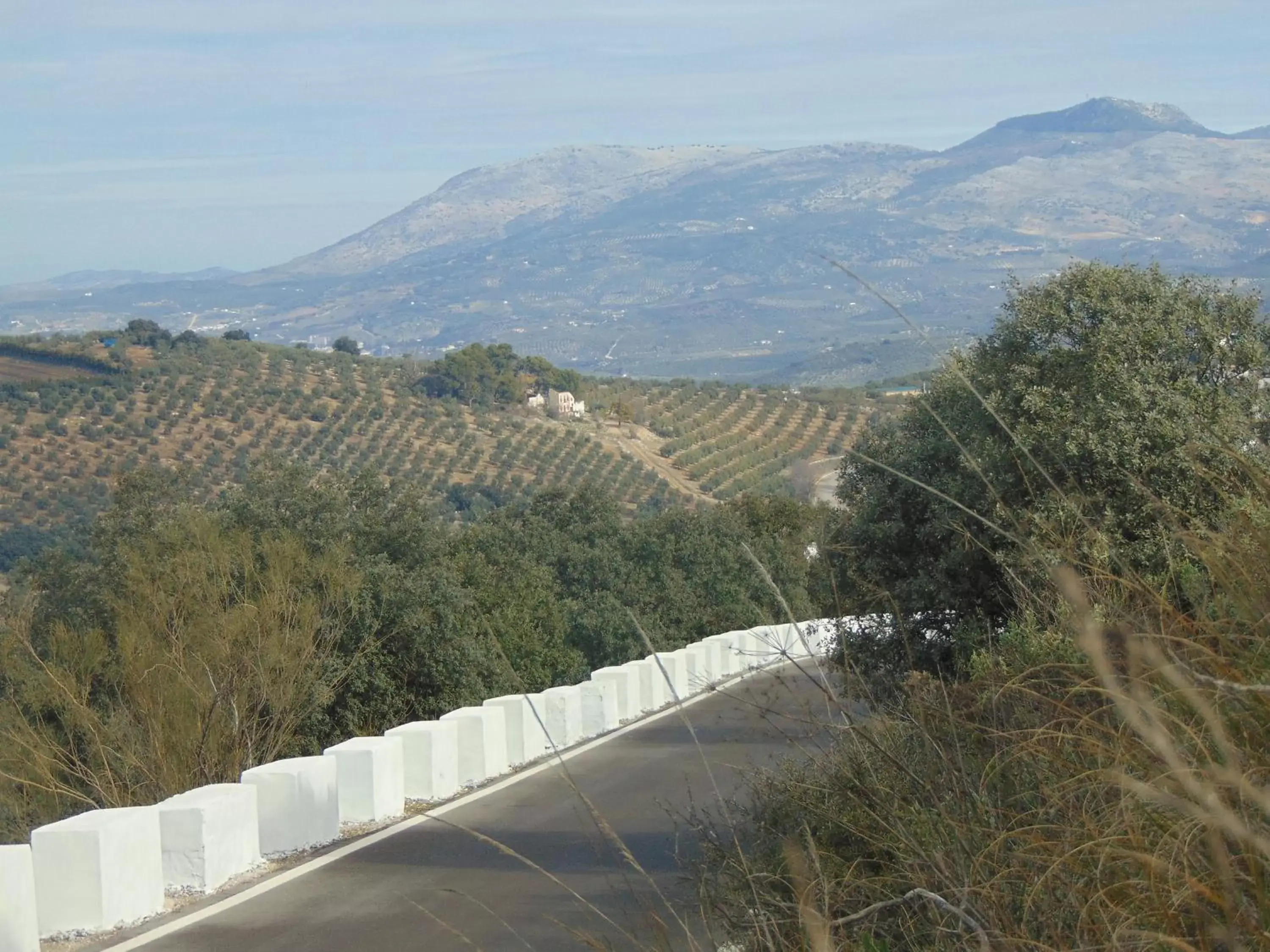 Area and facilities, Mountain View in Hotel Sierra de Araceli Lucena