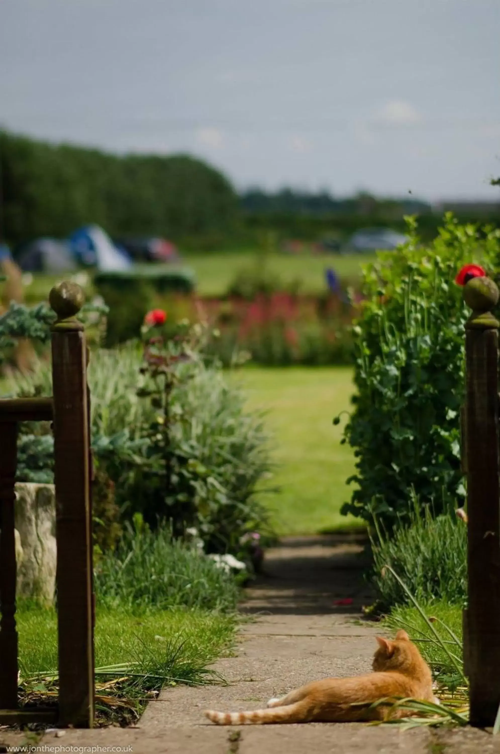 Summer, Natural Landscape in Fourwinds B&B