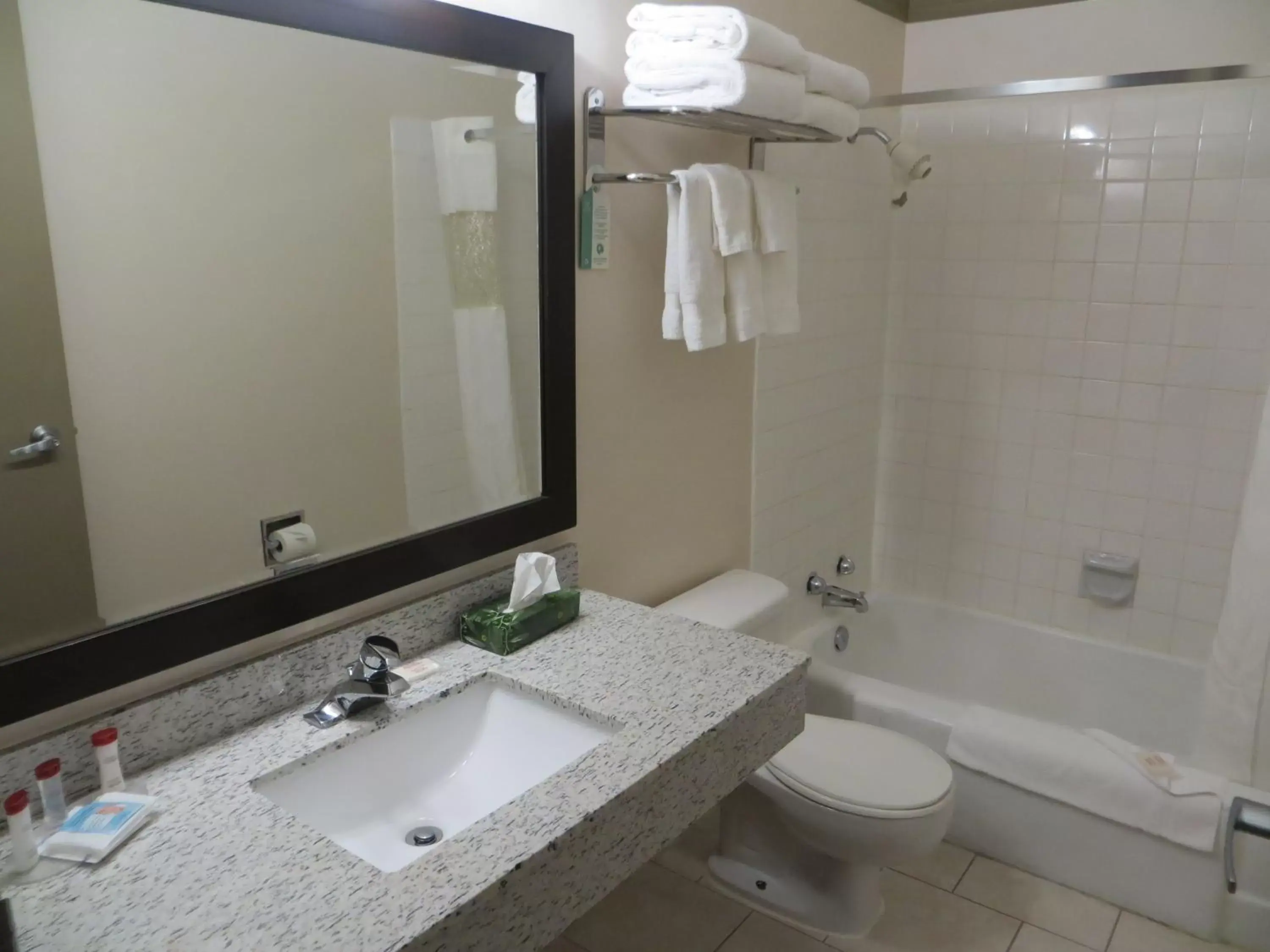 Bathroom in Ramada by Wyndham Edmonton South