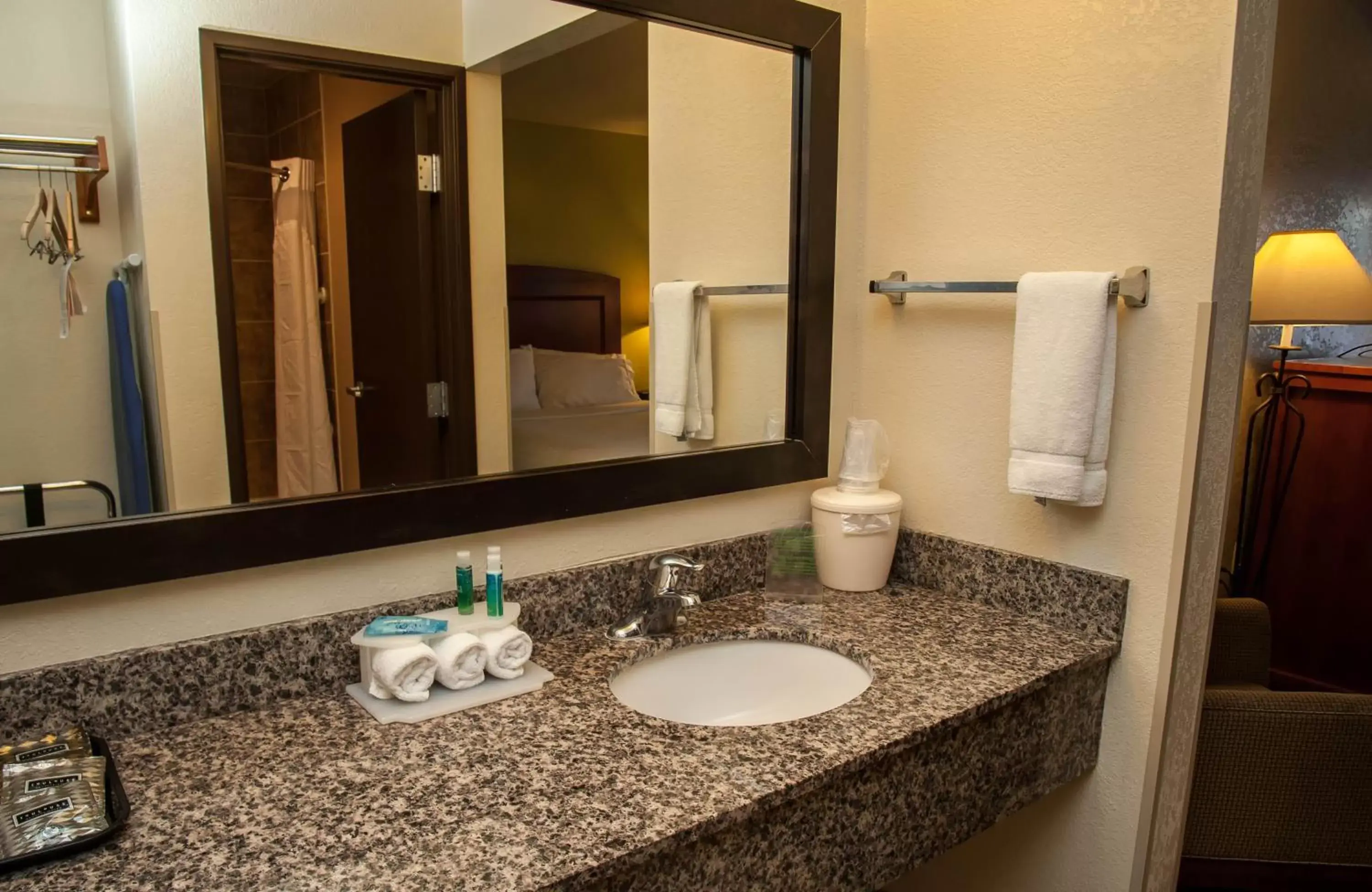 Bathroom in Holiday Inn Express Tucson-Airport, an IHG Hotel