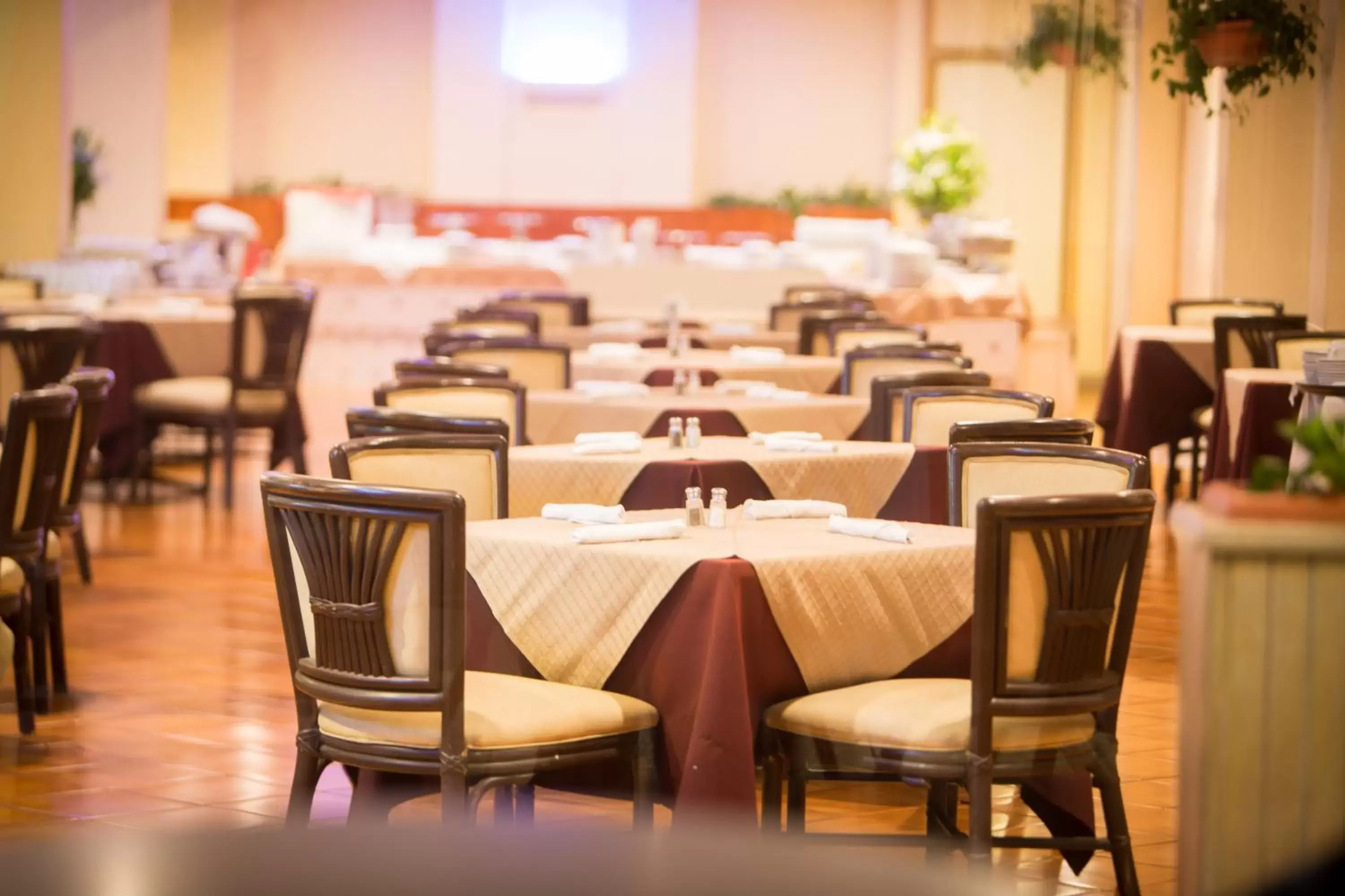 Restaurant/places to eat in Best Western Plus Hotel Terraza Restaurant/places to eat in Best Western Plus Hotel Terraza