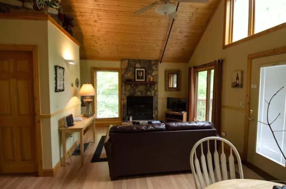 Living room in Asheville Cabins of Willow Winds