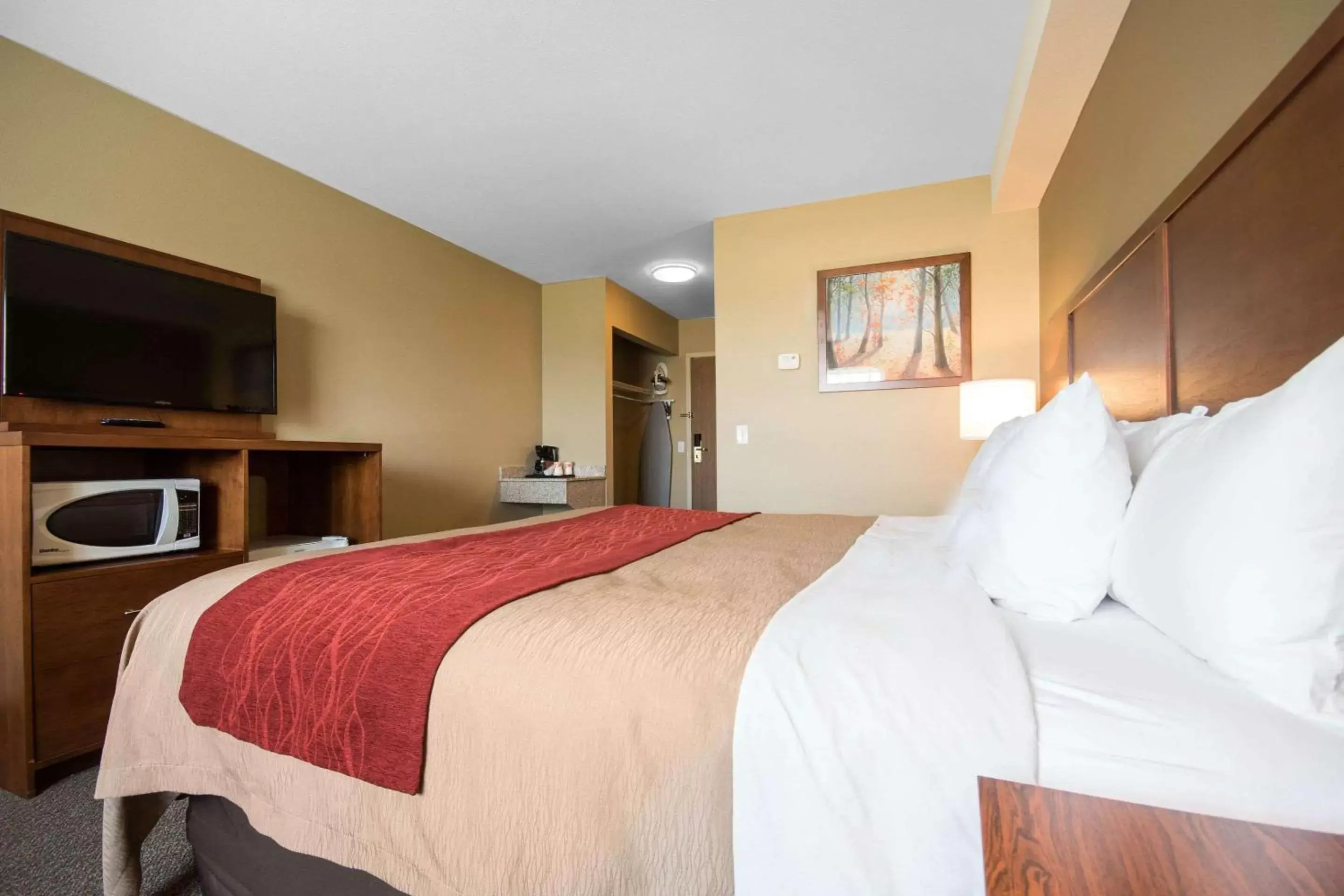 Photo of the whole room, Bed in Comfort Inn & Suites Langley