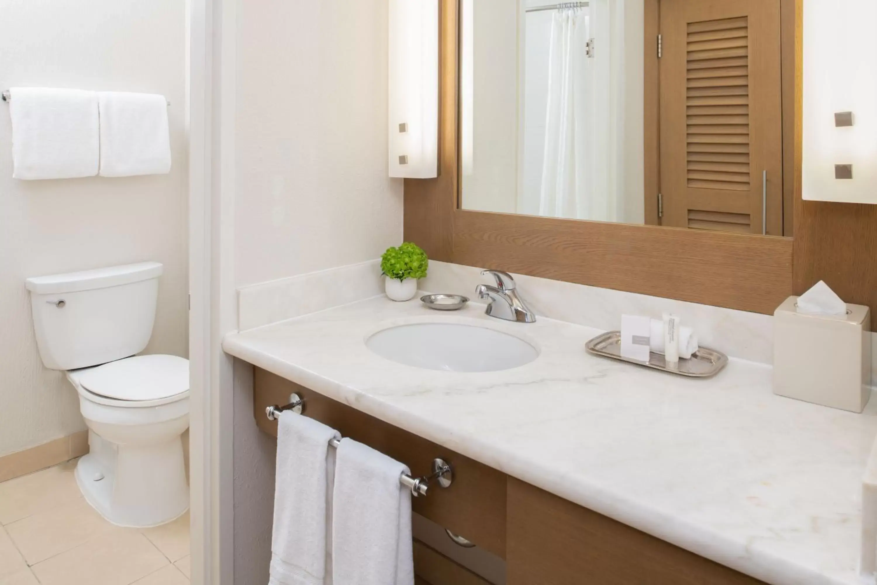 Bathroom in The Lodge at Tiburon