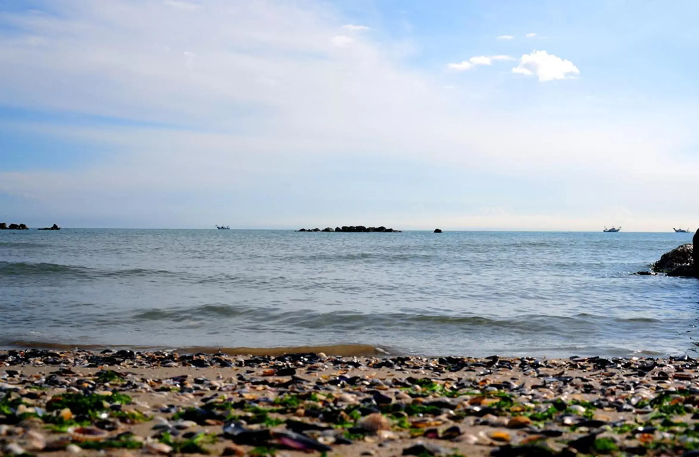 Sea view, Beach in Agriturismo Frontemare