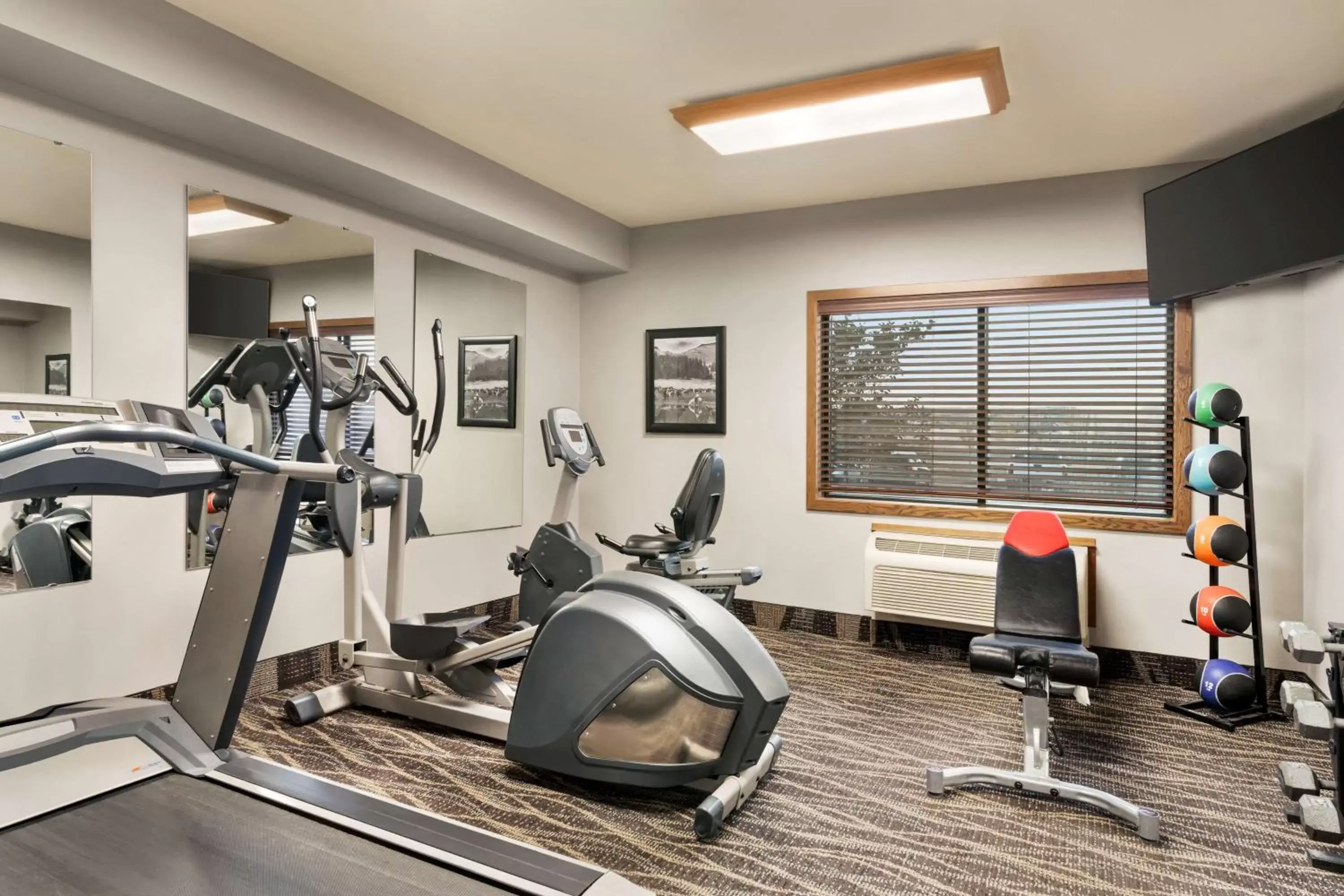 Fitness centre/facilities, Fitness Center/Facilities in AmericInn by Wyndham Laramie Near University of Wyoming