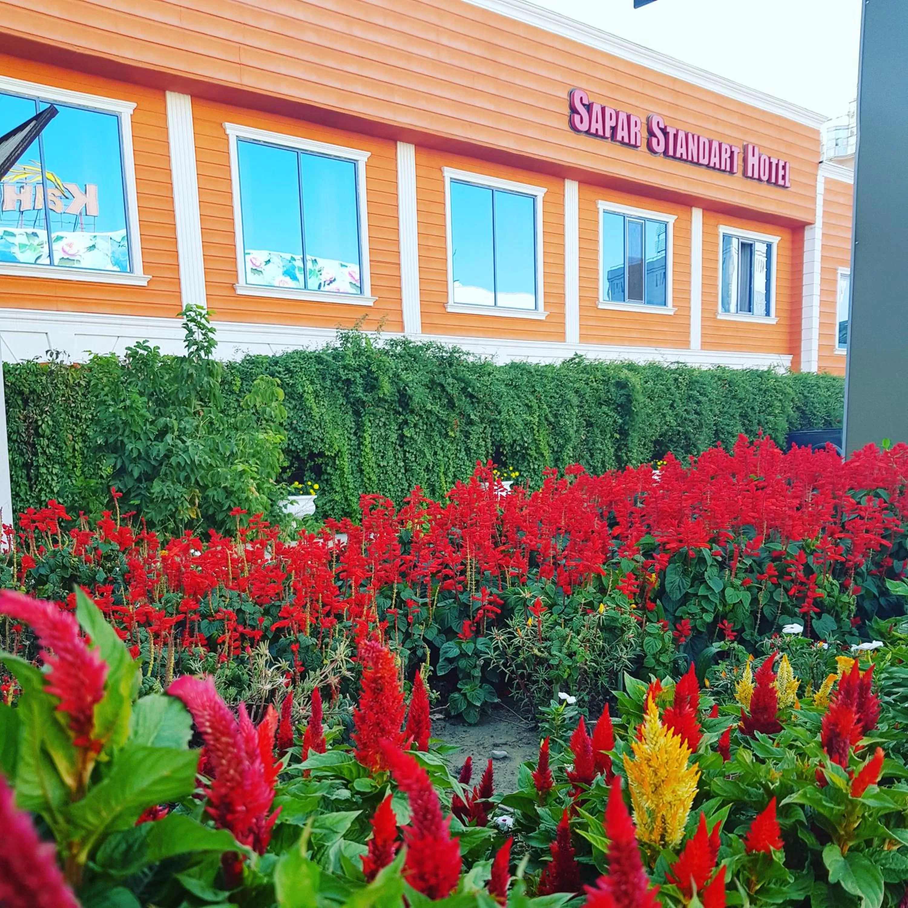 Property Building in Sapar Standart Hotel