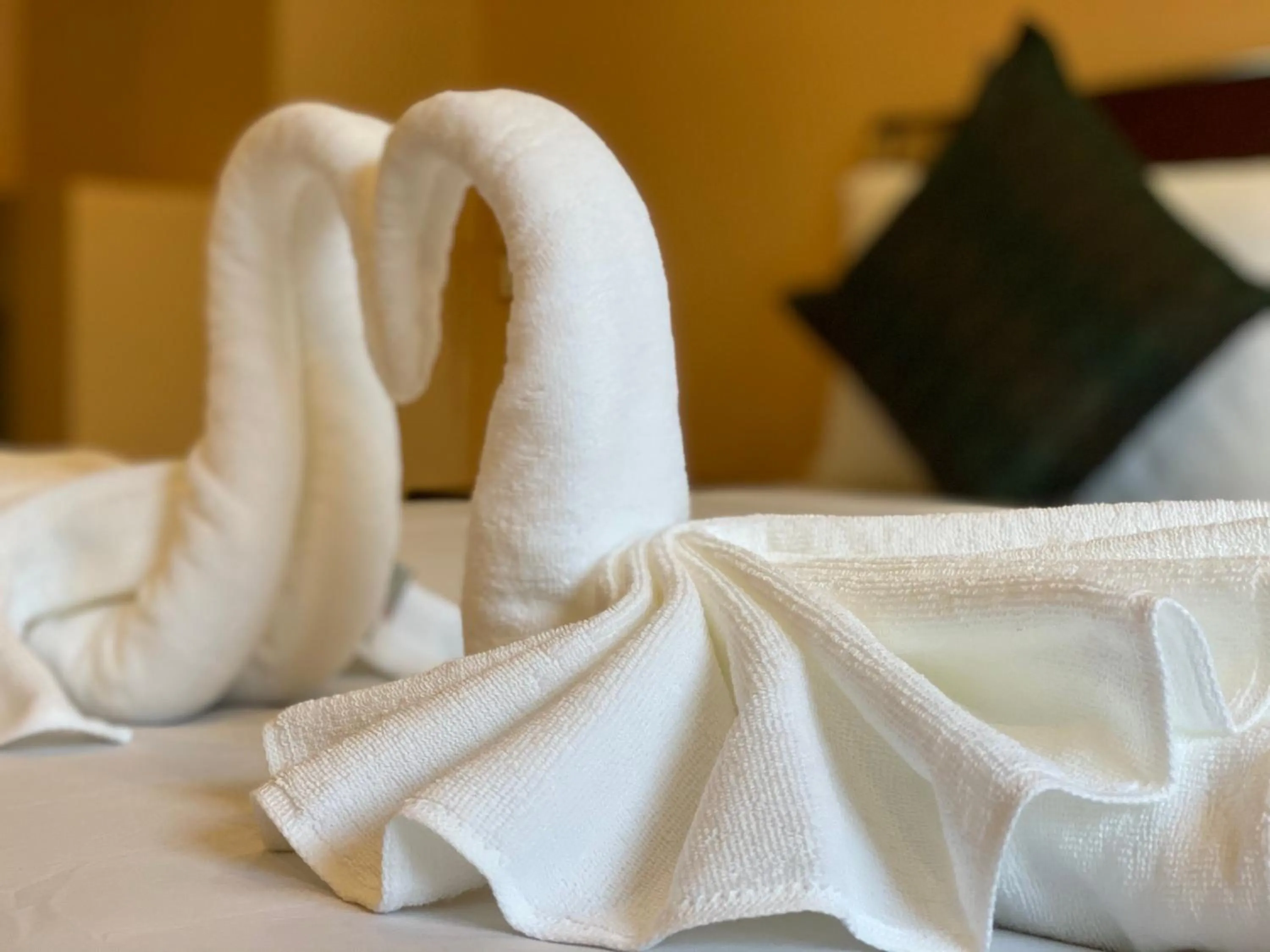 Bed in Star Guesthouse