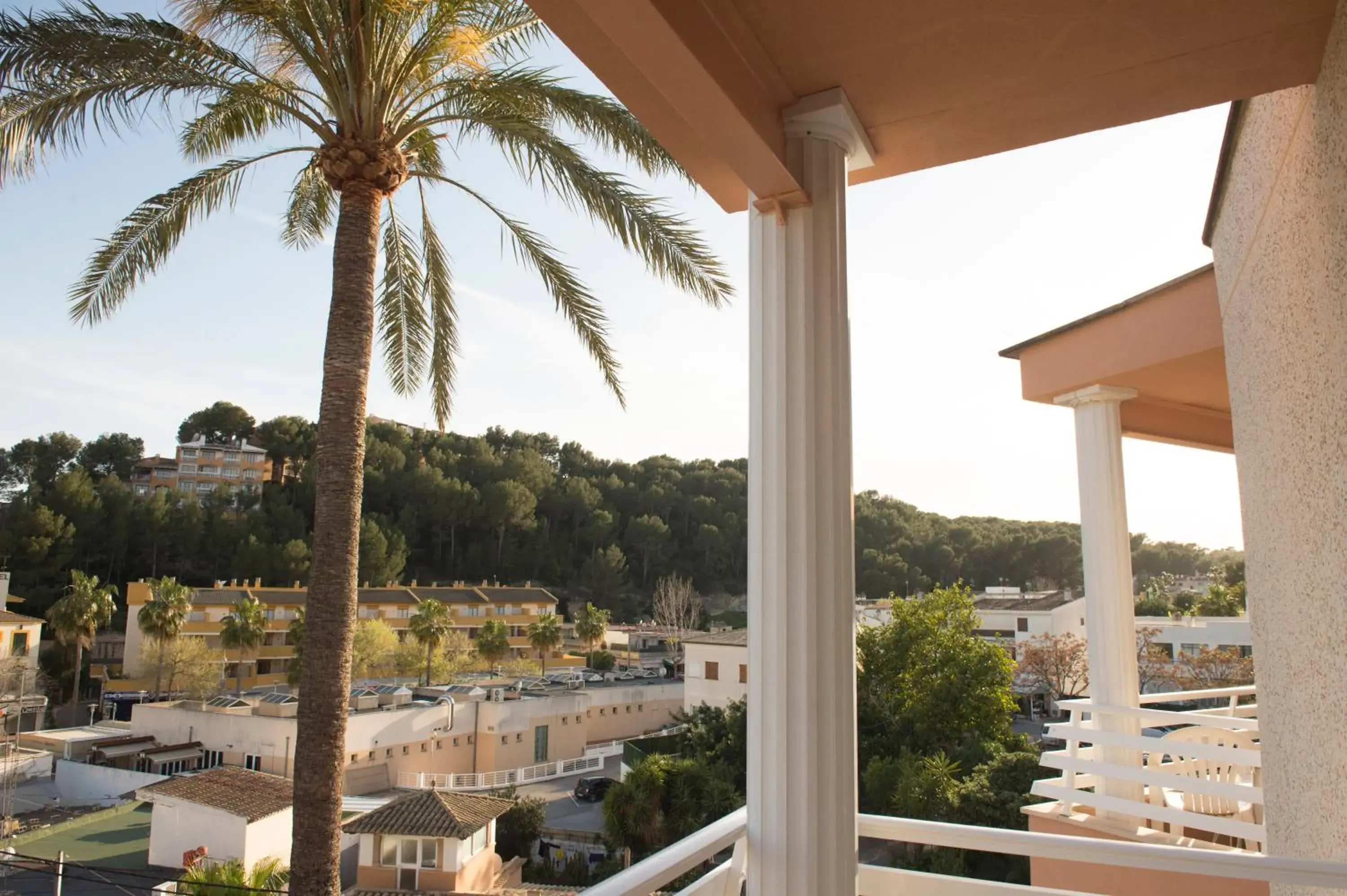 Balcony/Terrace in Hotel Venecia